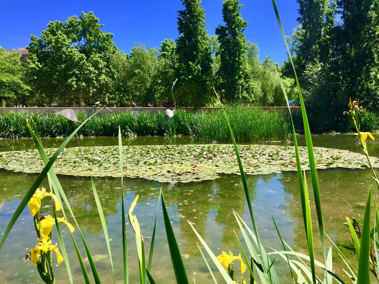 Details at La Rambleta Park Valencia — travel photo