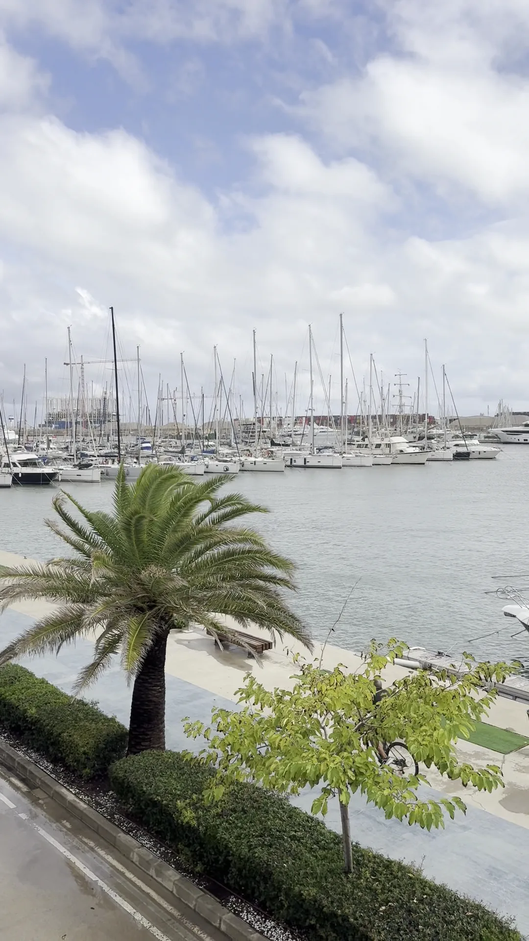 Atmosphere at Mirador del Puerto Valencia — travel photo