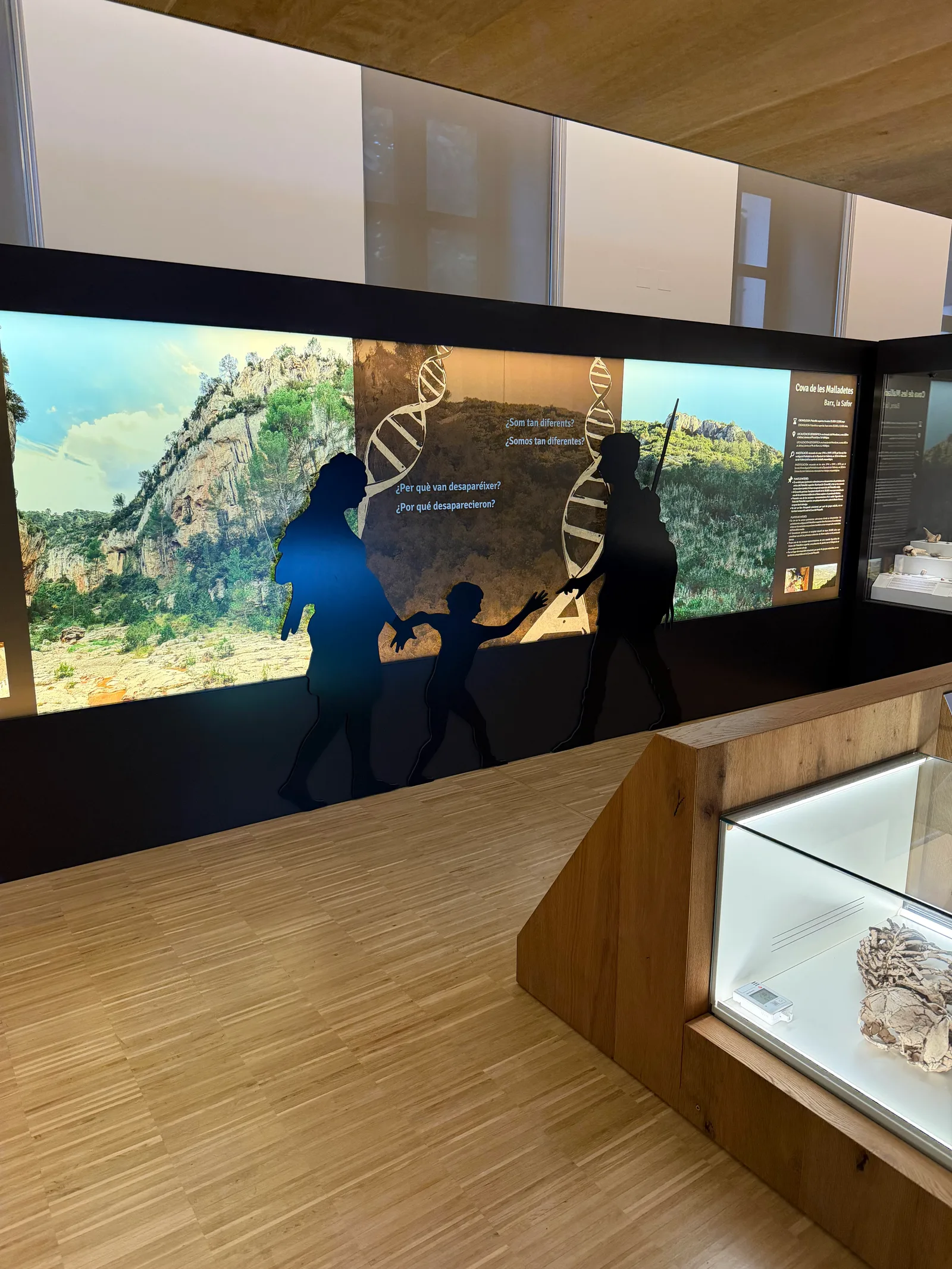 Main view at Museo de Prehistoria de Valencia Valencia — travel photo