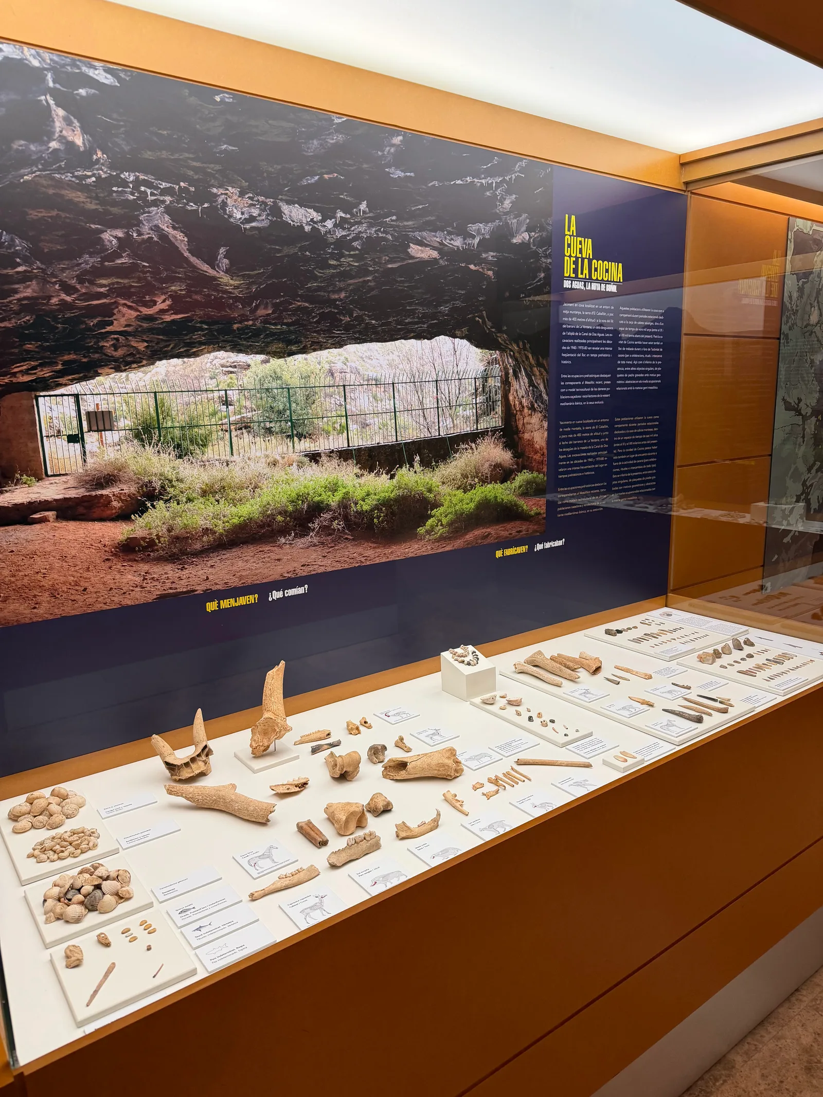 Interior at Museo de Prehistoria de Valencia Valencia — travel photo
