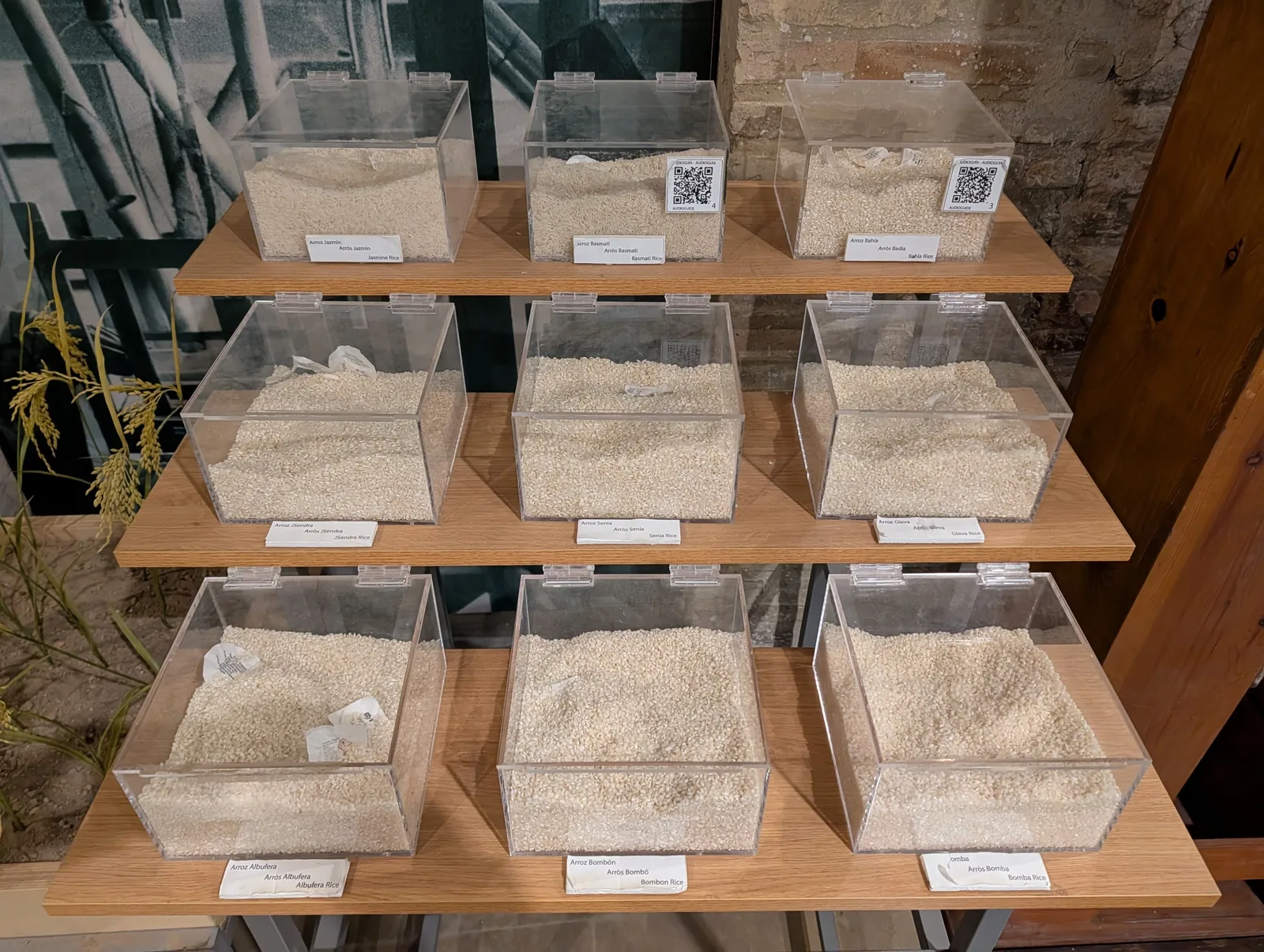 Details at Museo del Arroz Valencia — travel photo