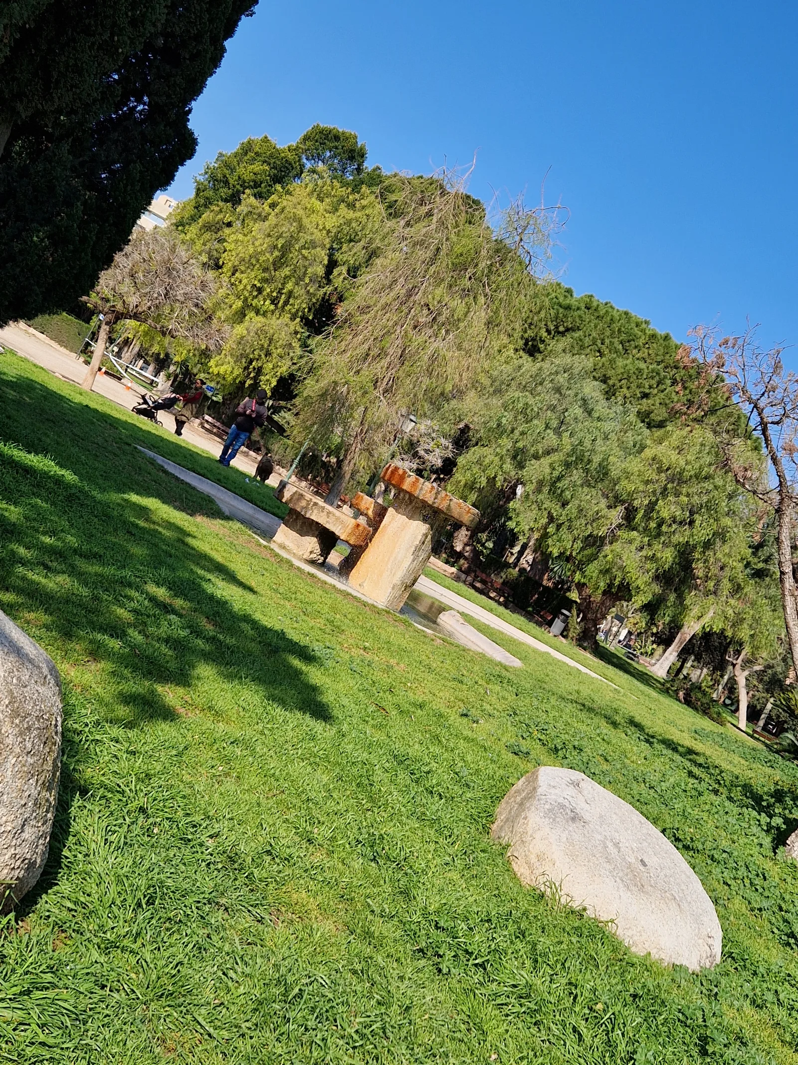 Atmosphere at Natural Science Museum of Valencia Valencia — travel photo