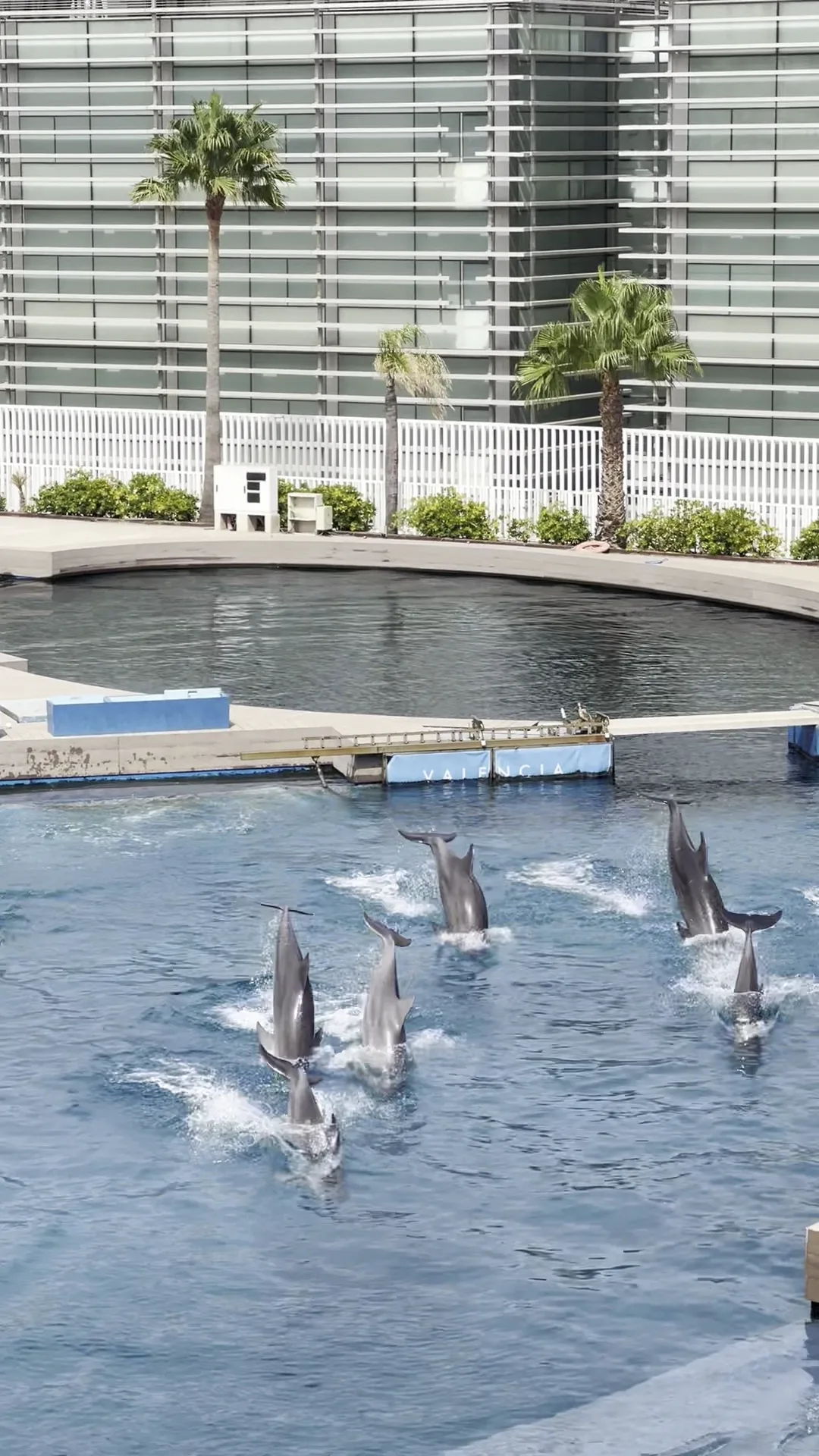 Interior at Oceanogràfic València Valencia — travel photo