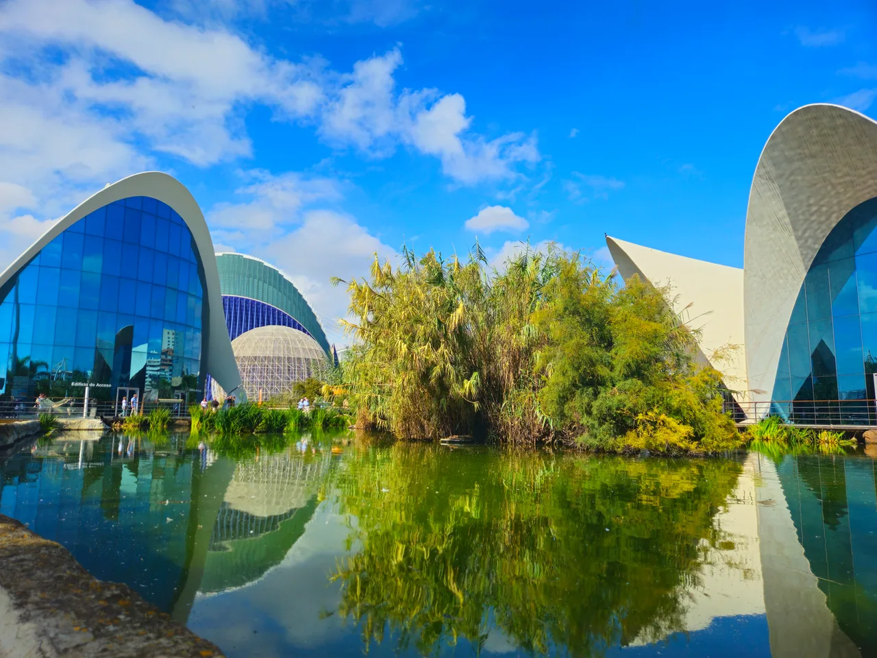 Oceanogràfic València
