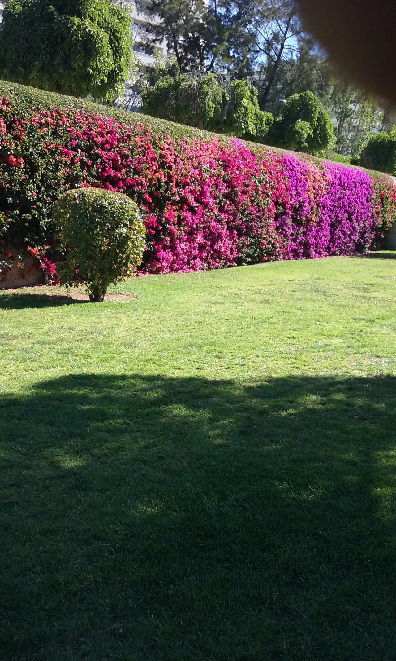 Parc del Riu
