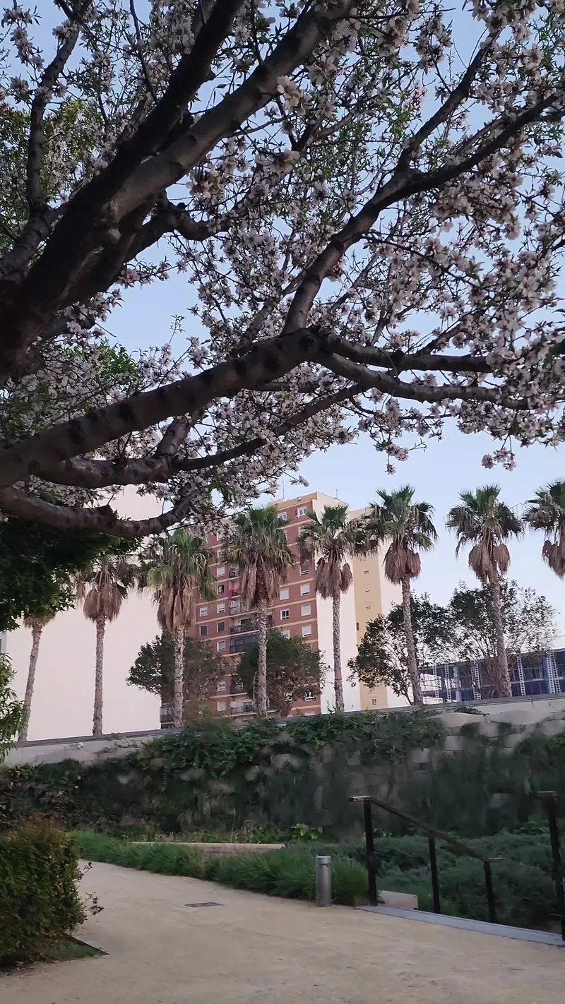 Parque Central