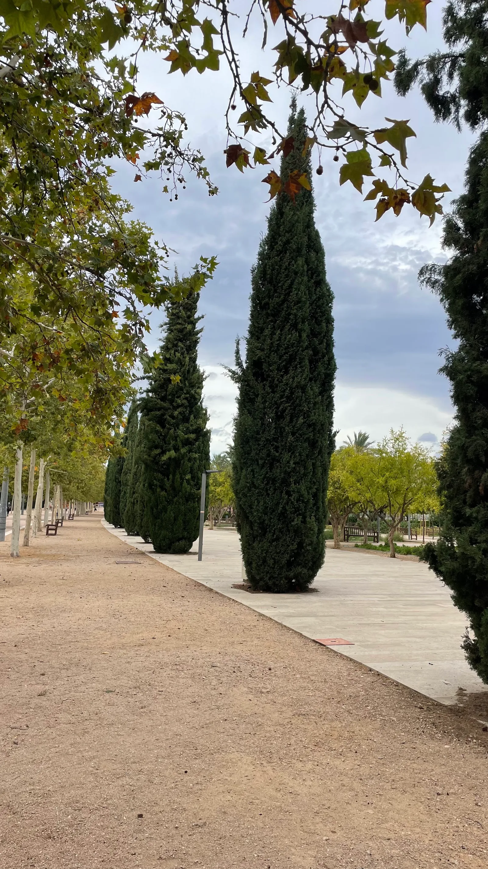 Main view at Parque de Marchalenes Valencia — travel photo