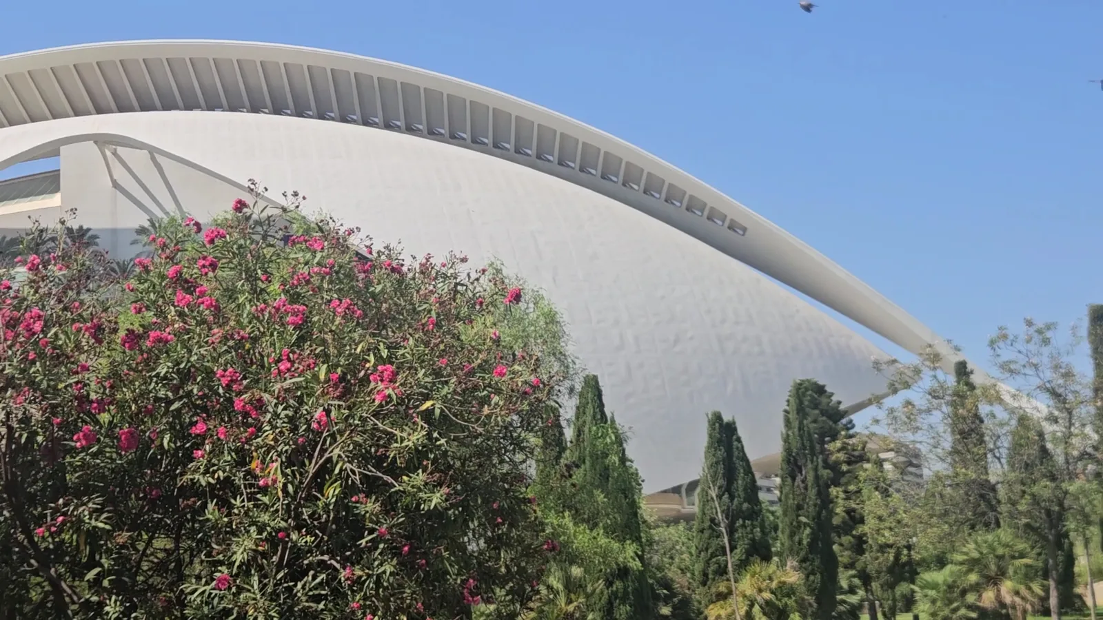 Main view at Parque del Museo Príncipe Felipe - Tramo XV del Jardín del Turia Valencia — travel photo