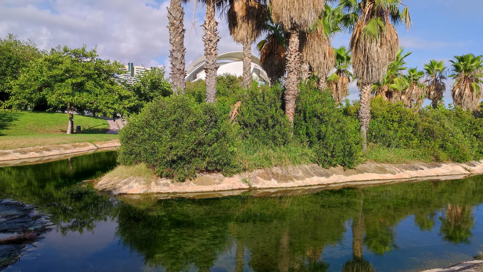Interior at Parque del Museo Príncipe Felipe - Tramo XV del Jardín del Turia Valencia — travel photo