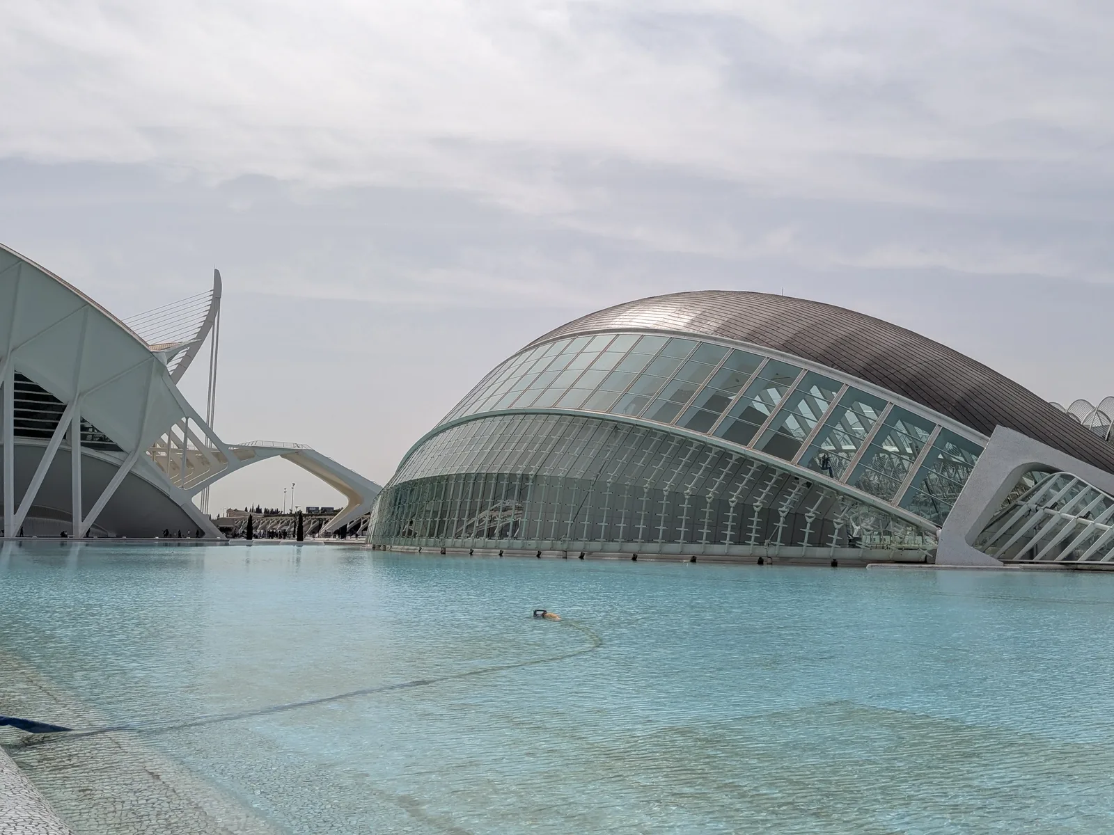 Atmosphere at Parque del Museo Príncipe Felipe - Tramo XV del Jardín del Turia Valencia — travel photo