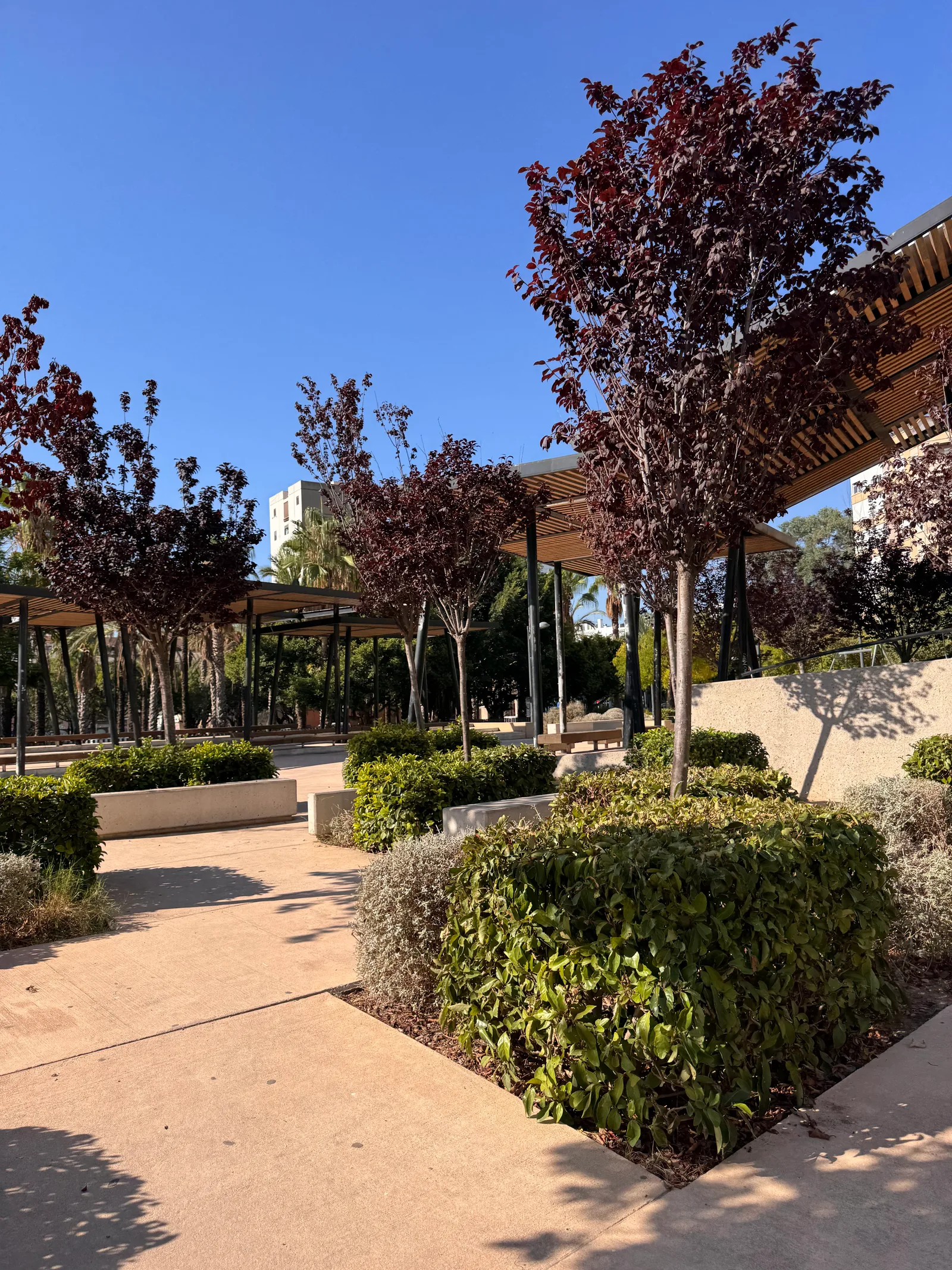 Atmosphere at Parque Infantil Jardín de Morvedre Valencia — travel photo
