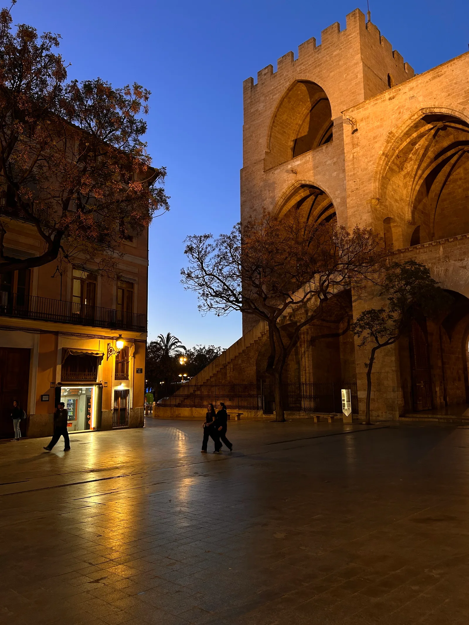 Details at Torres de Serranos Valencia — travel photo