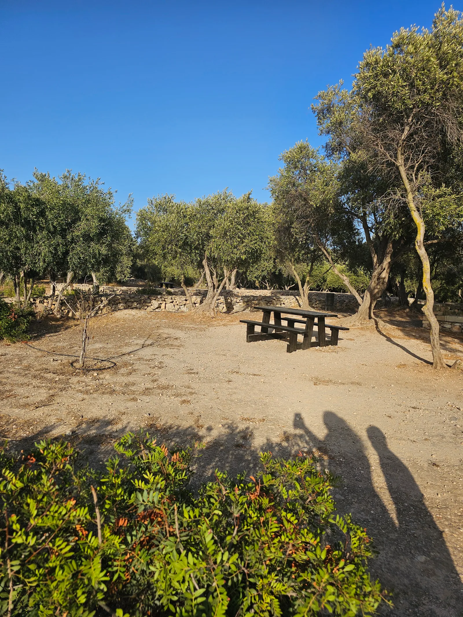 Details at Il-Park ta' San Klement Valletta — travel photo