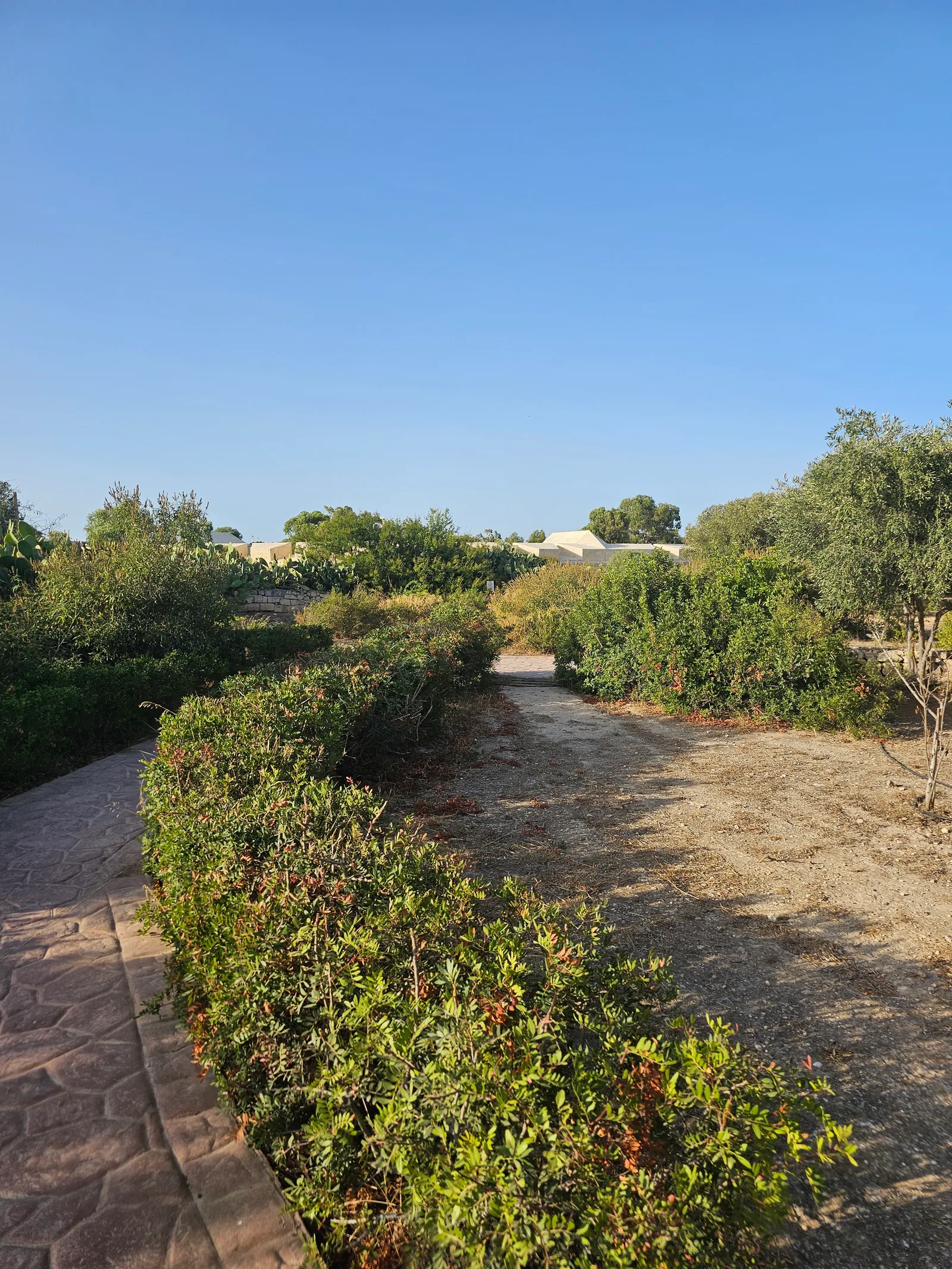 Atmosphere at Il-Park ta' San Klement Valletta — travel photo
