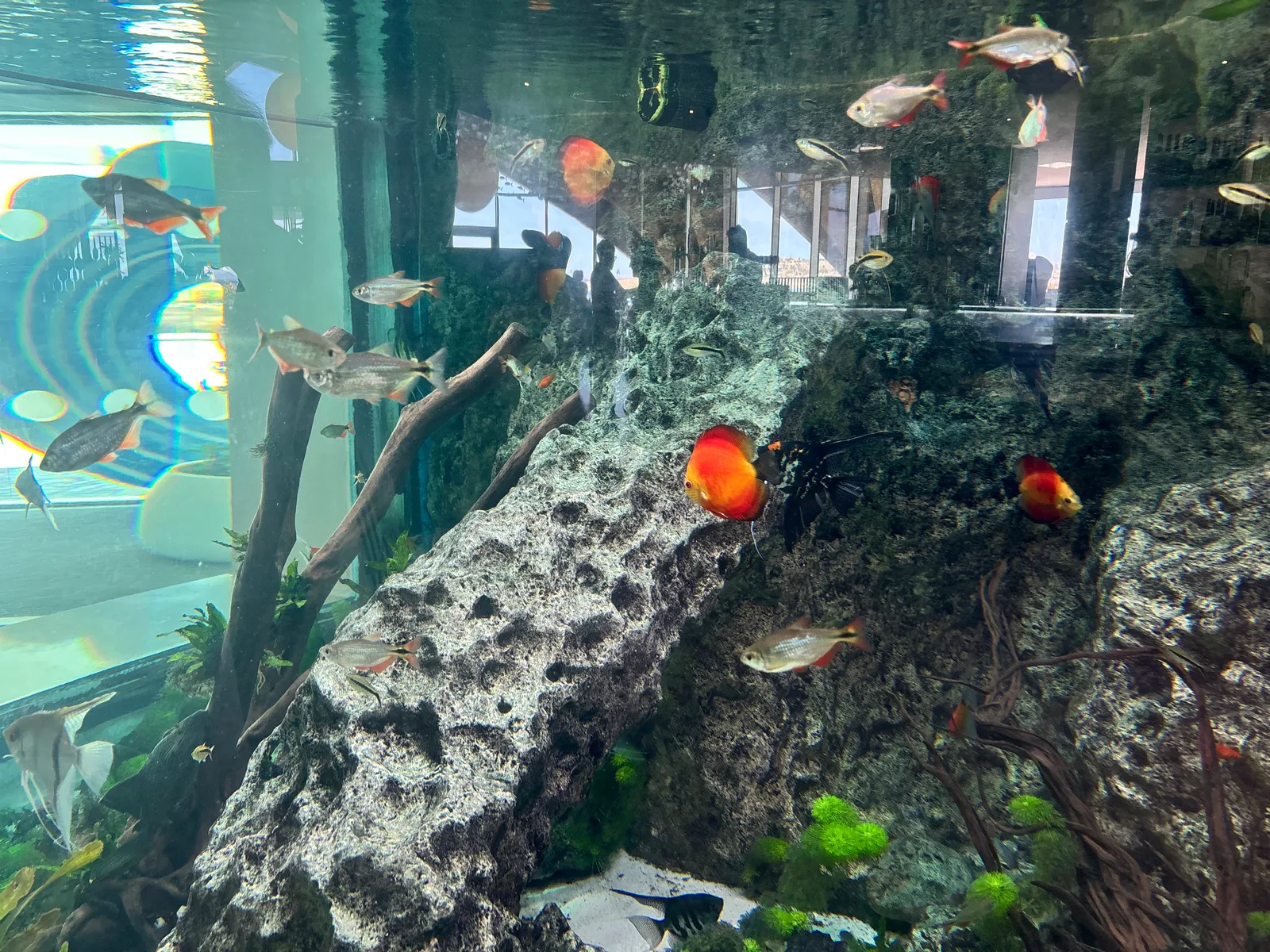 Atmosphere at Malta National Aquarium Valletta — travel photo