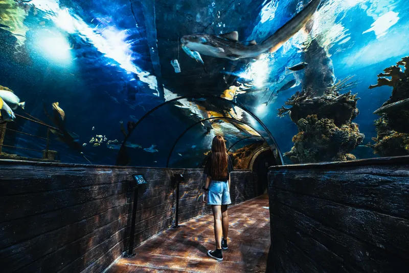 Malta National Aquarium in Valletta