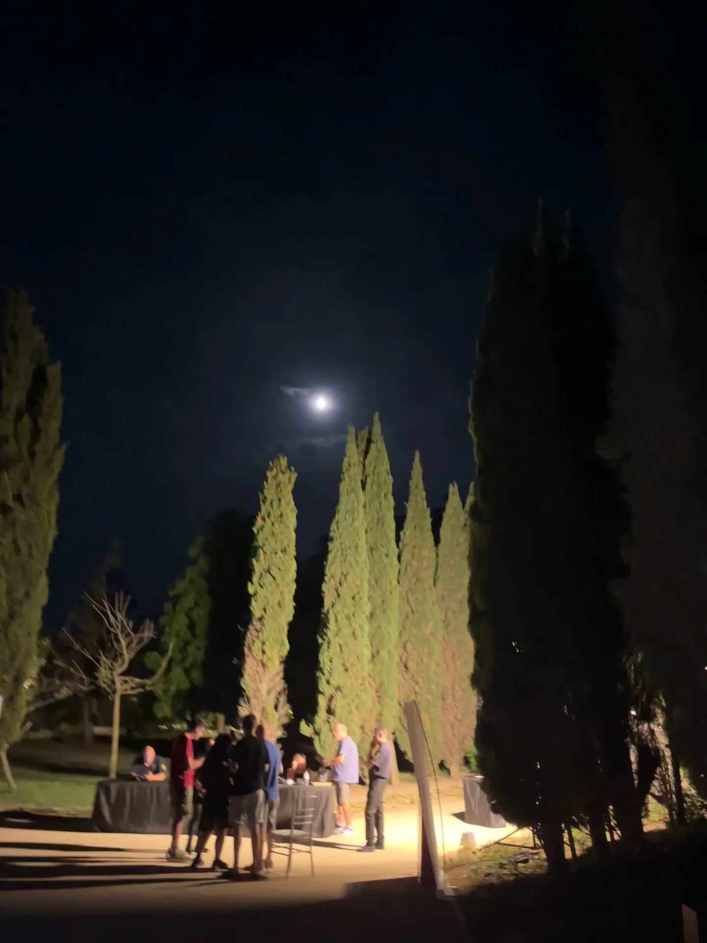 Main view at Park Nazzjonali Ta' Qali Valletta — travel photo