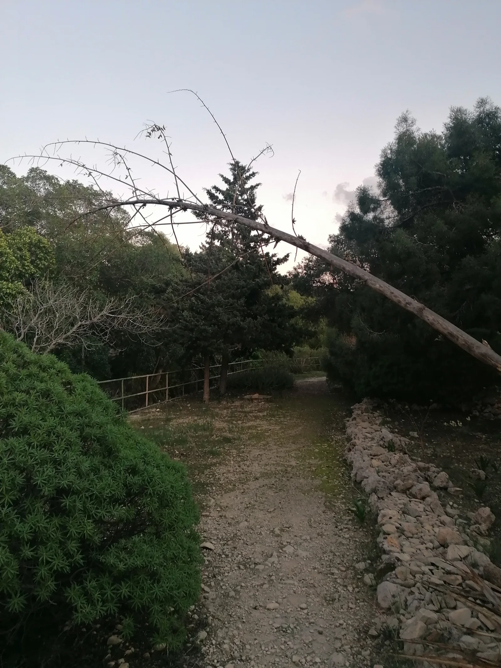 Main view at Sa Maison Garden Valletta — travel photo