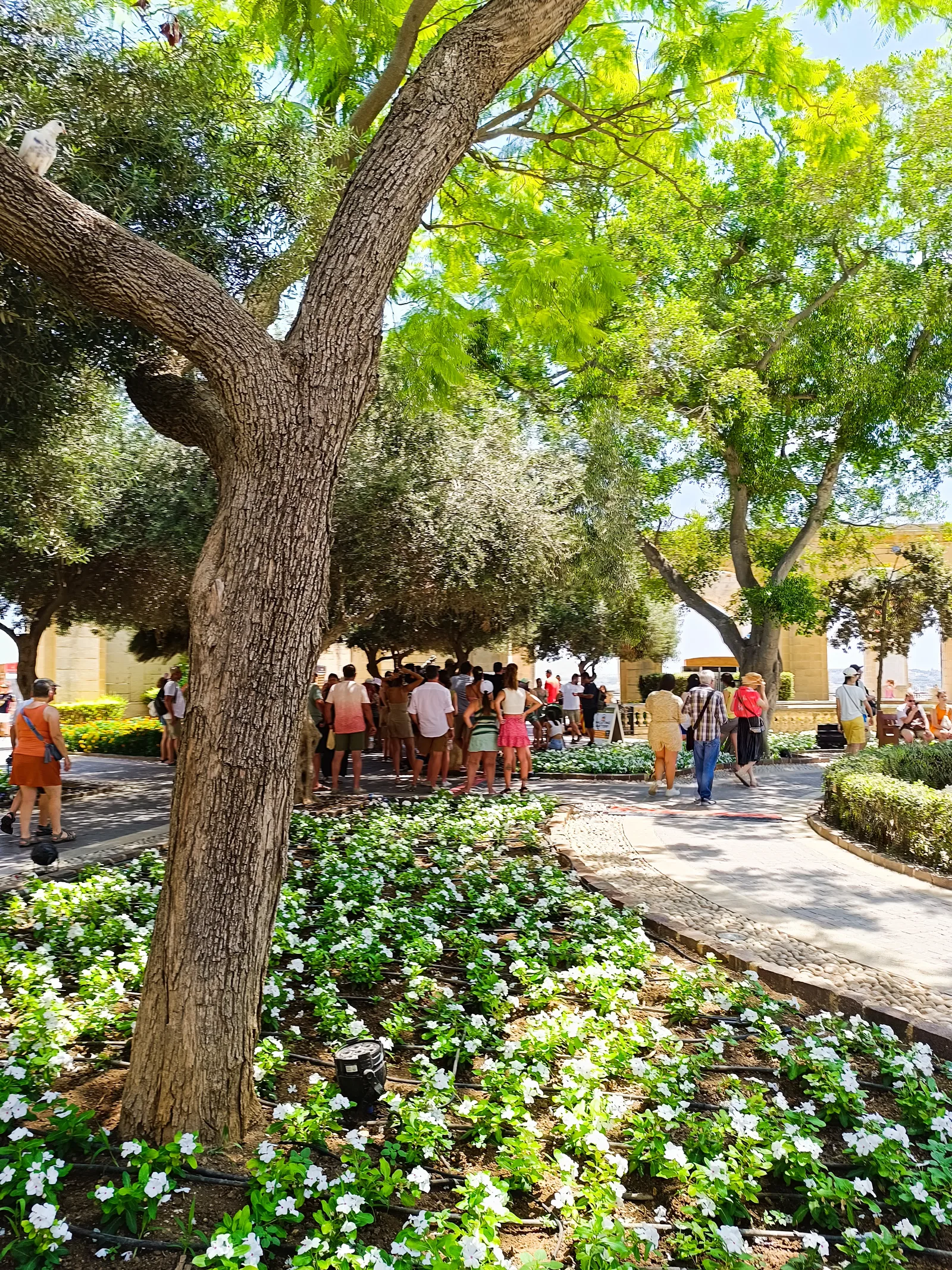 Interior at Upper Barrakka Fountain Valletta — travel photo