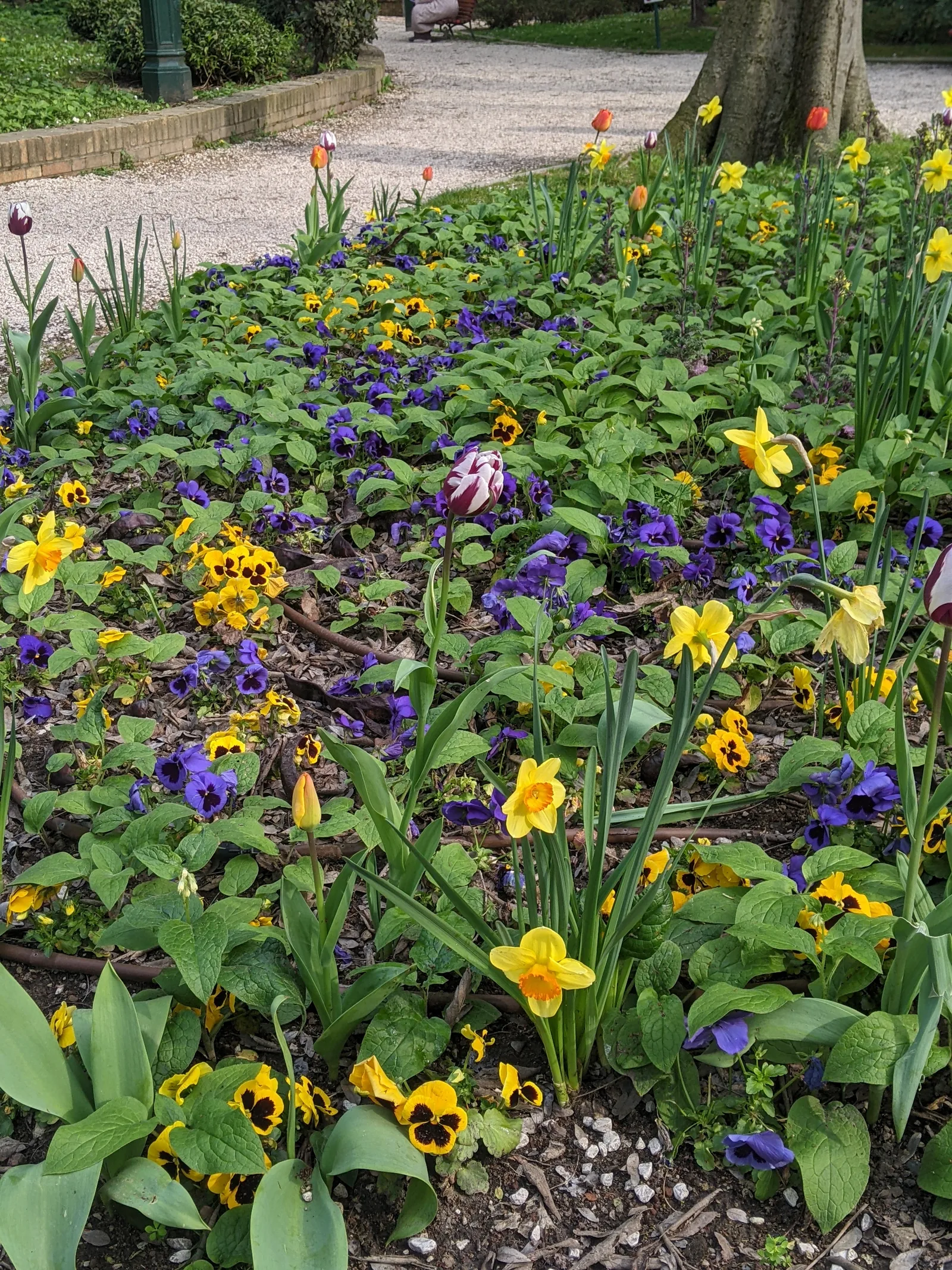 Details at Giardini Papadopoli Venice — travel photo