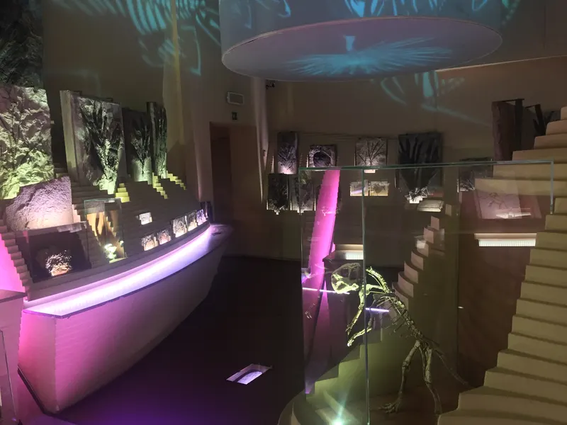 Museo di Storia Naturale Giancarlo Ligabue (Fondaco dei Turchi) in Venice