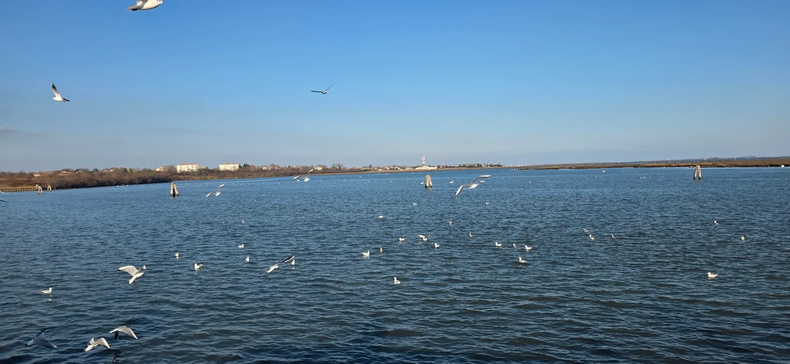 Main view at Parco San Giuliano Venice — travel photo