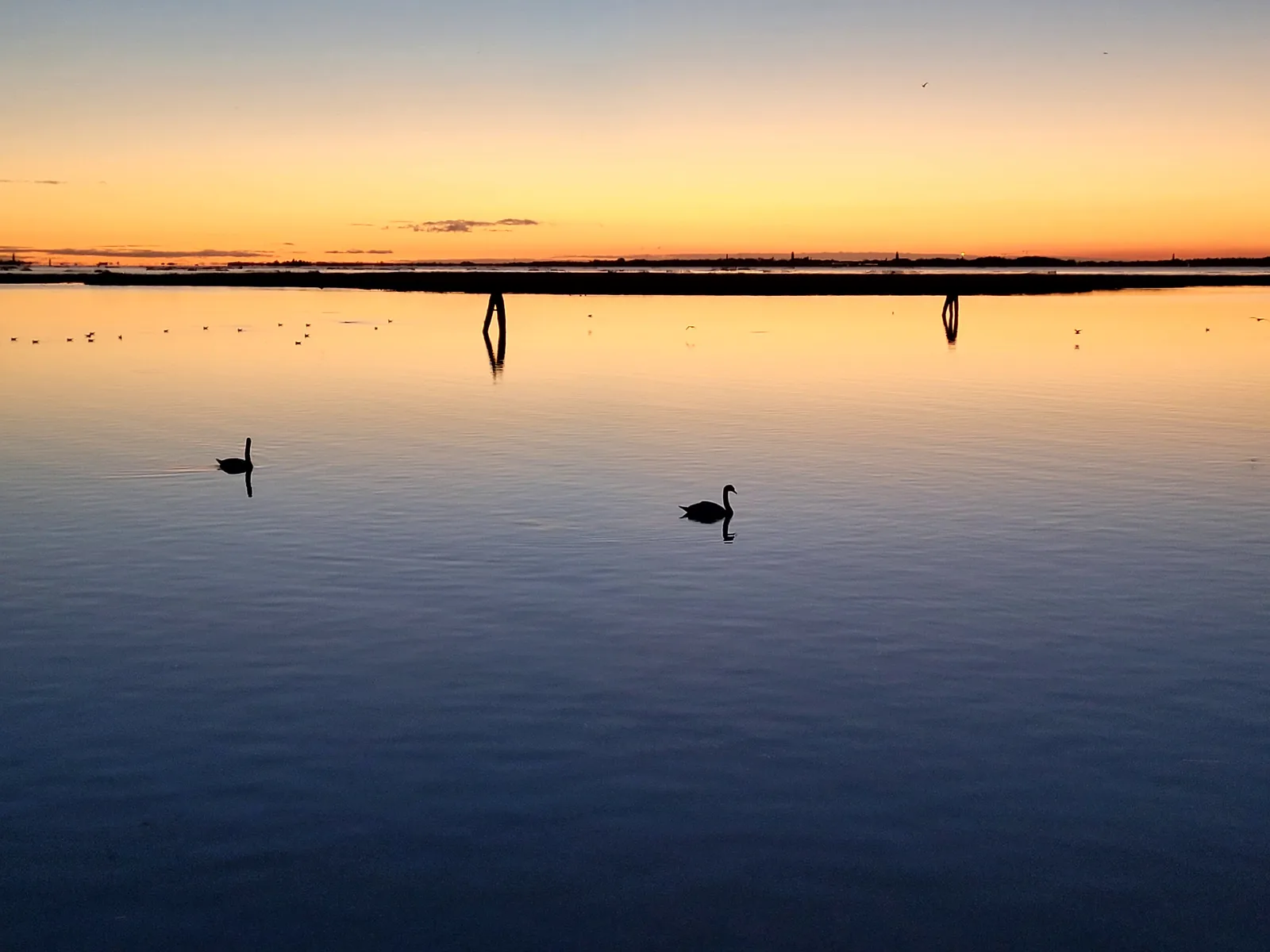 Parco San Giuliano — family guide Venice