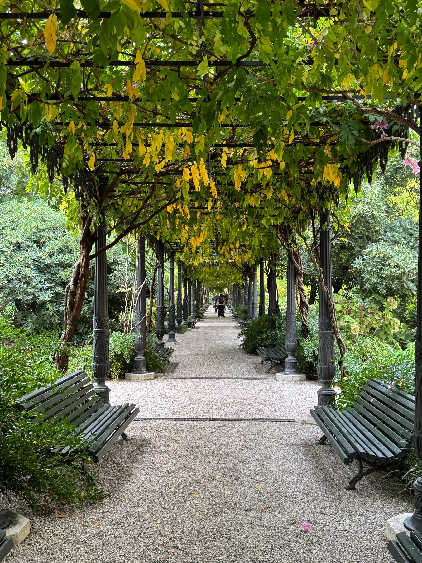 Royal Garden