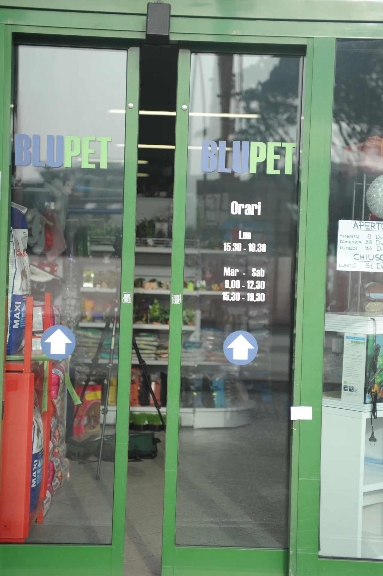 Blu pet — family guide Verona
