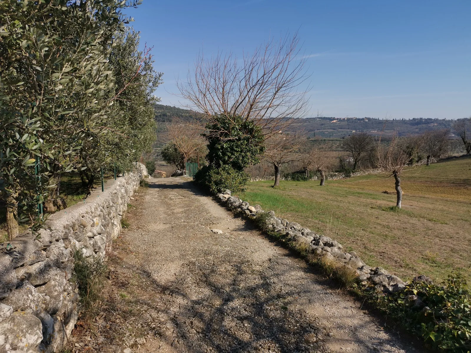 Main view at Colline sopra Quinzano Verona — travel photo