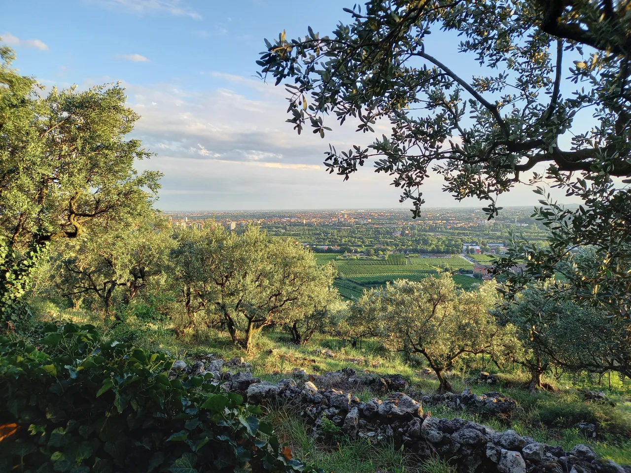 Colline sopra Quinzano β budget guide Verona