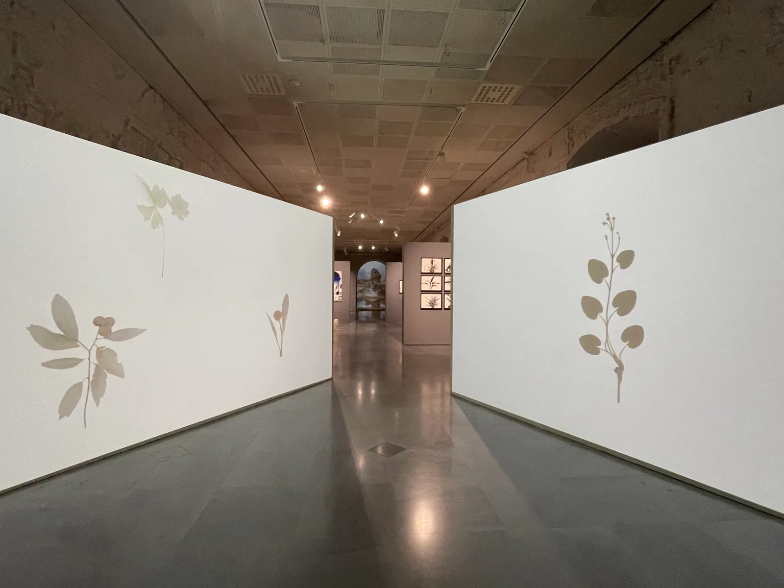 Interior at Galleria d'Arte Moderna Achille Forti Verona — travel photo