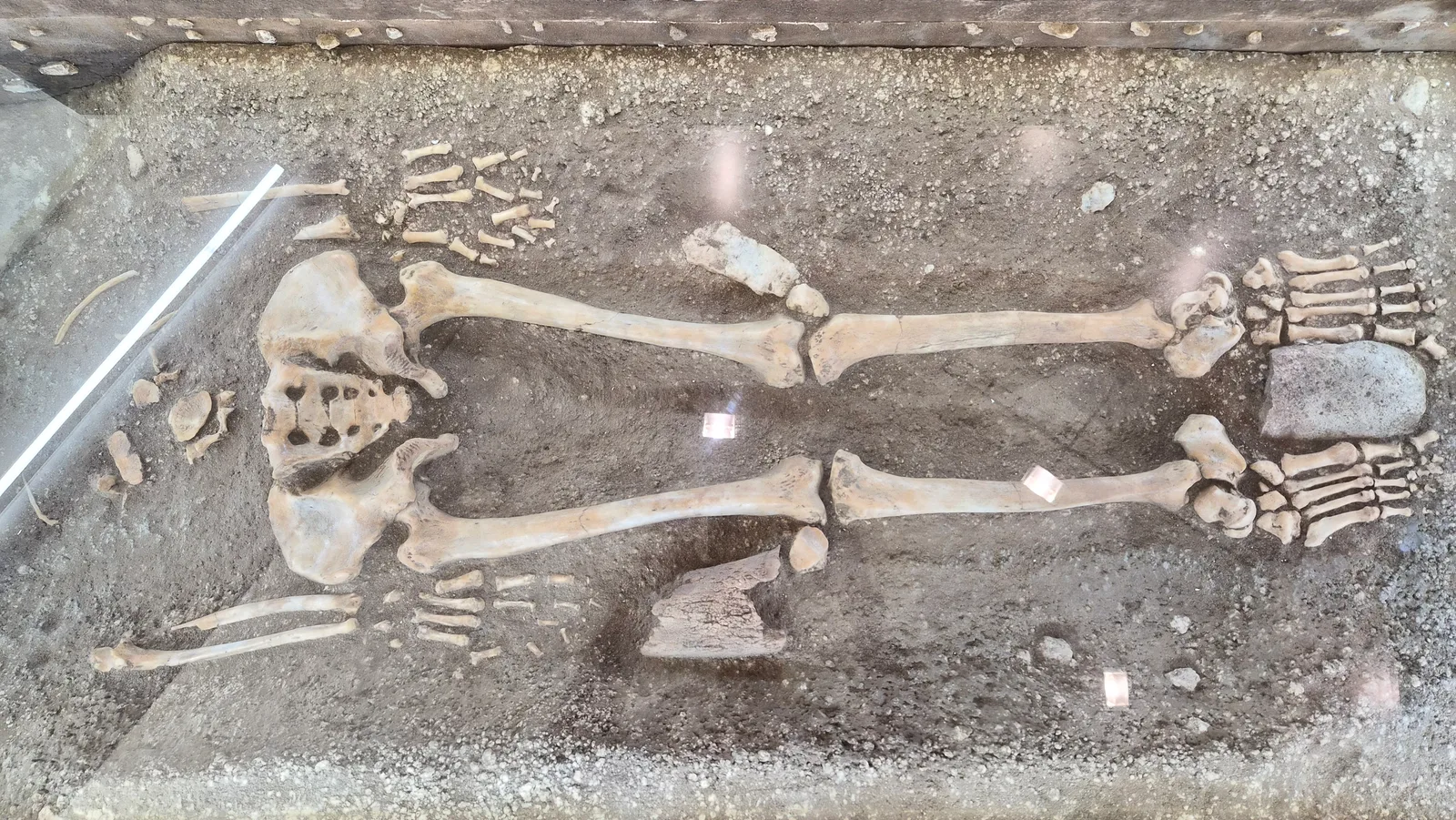 Interior at Museo di Storia Naturale Verona — travel photo
