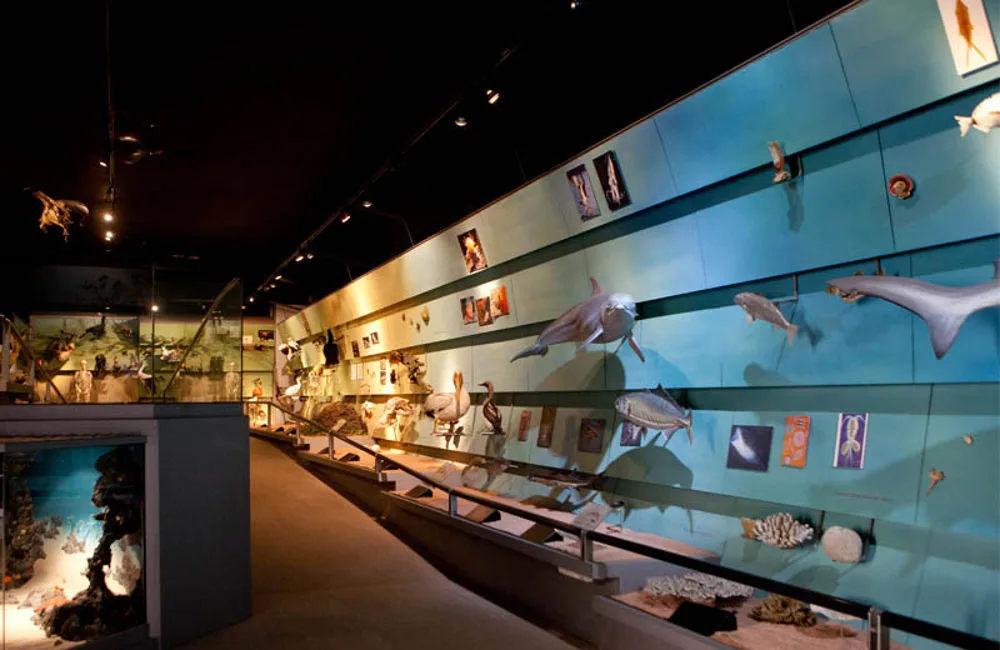 Museo di Storia Naturale — culture guide Verona
