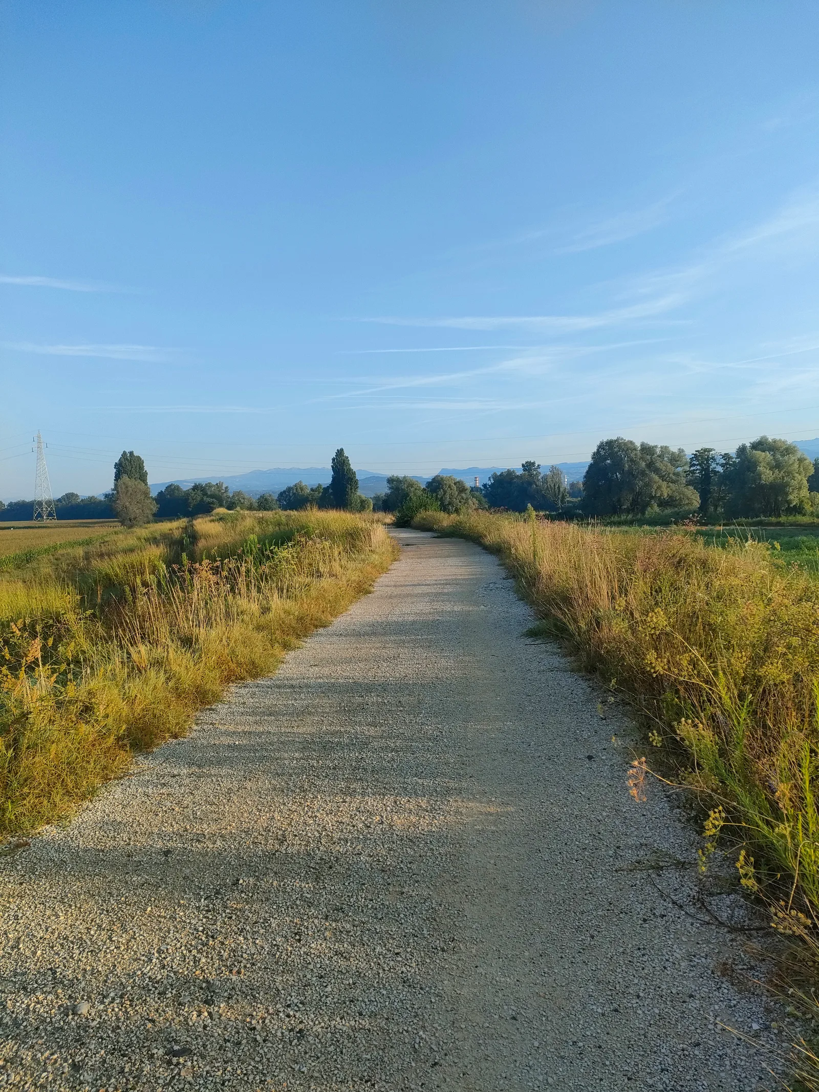 Details at Parco All'Adige Verona — travel photo