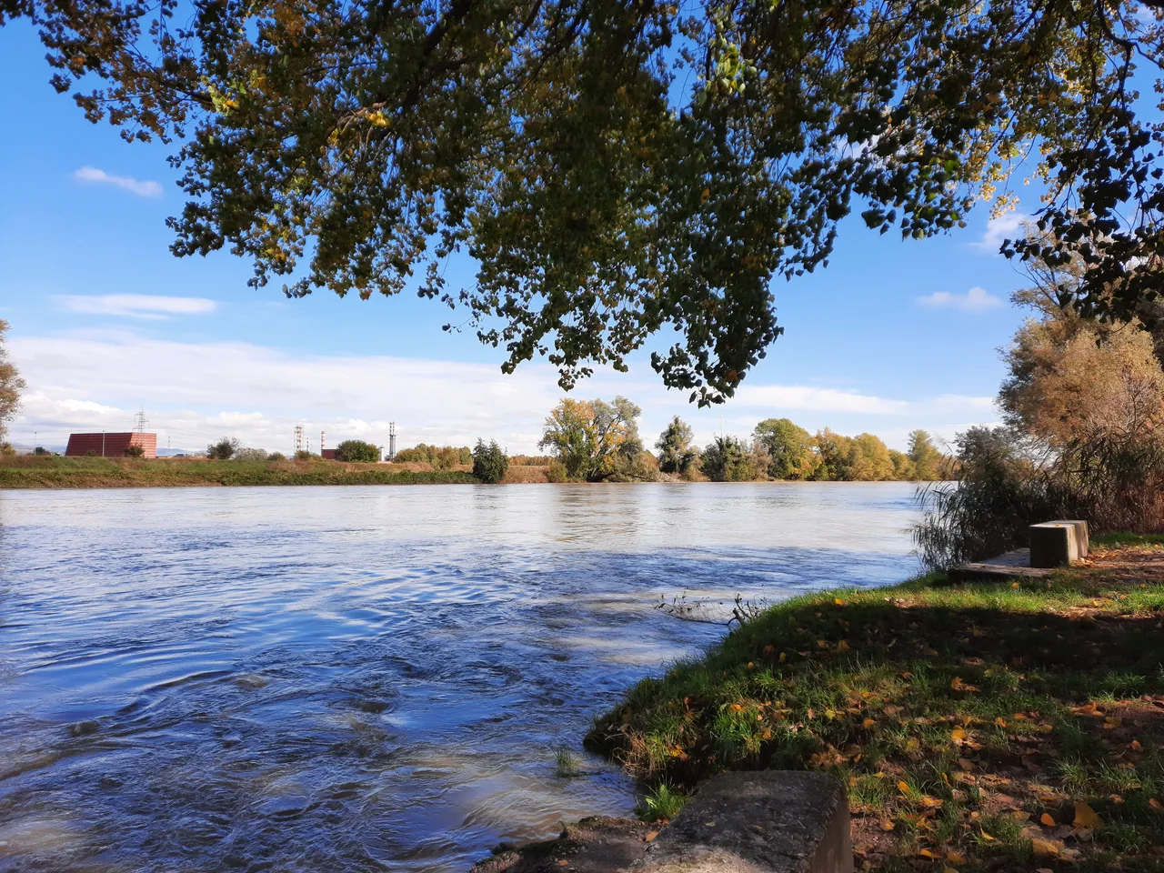 Parco All'Adige