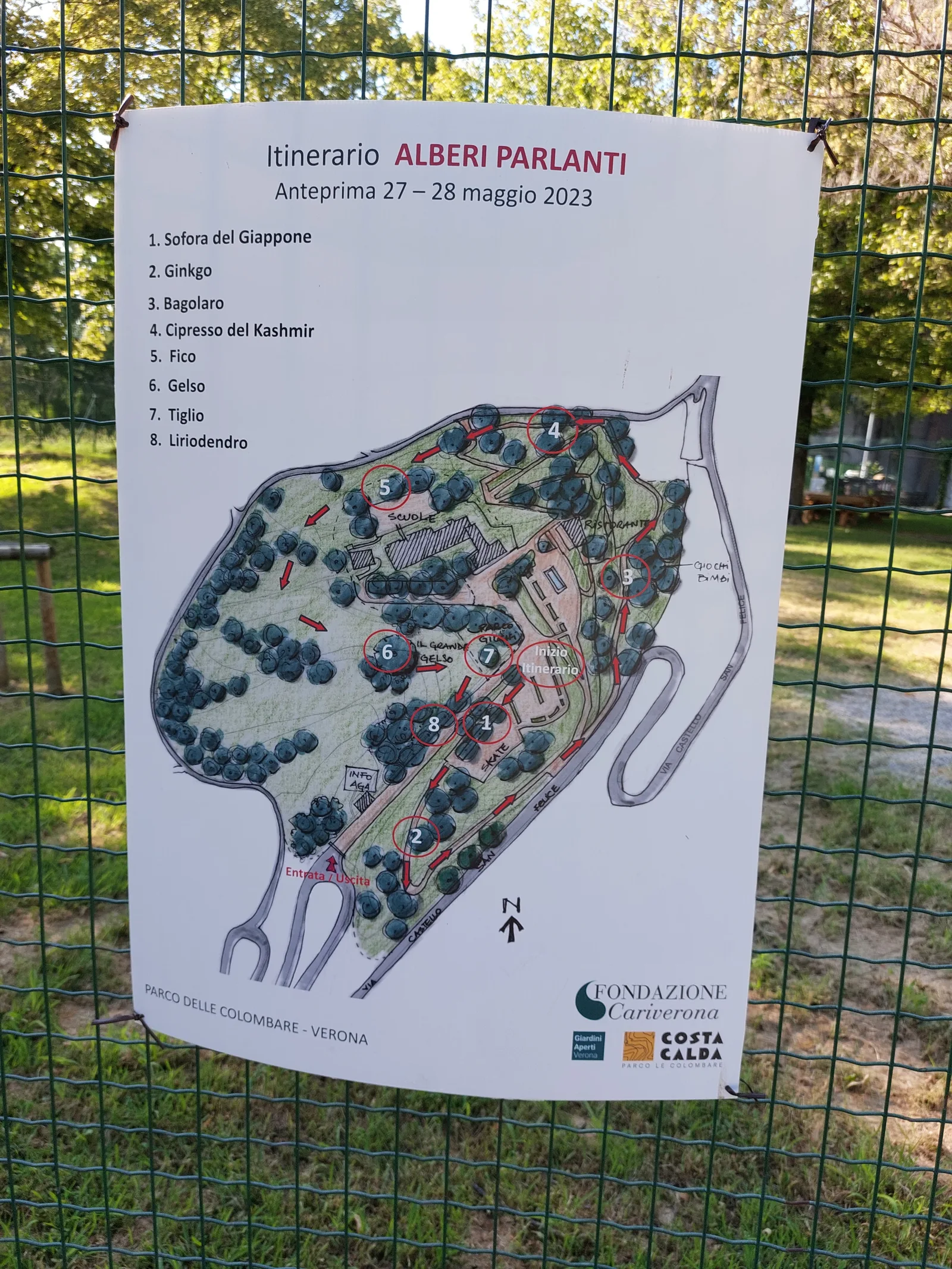 Main view at Parco delle Colombare Verona — travel photo