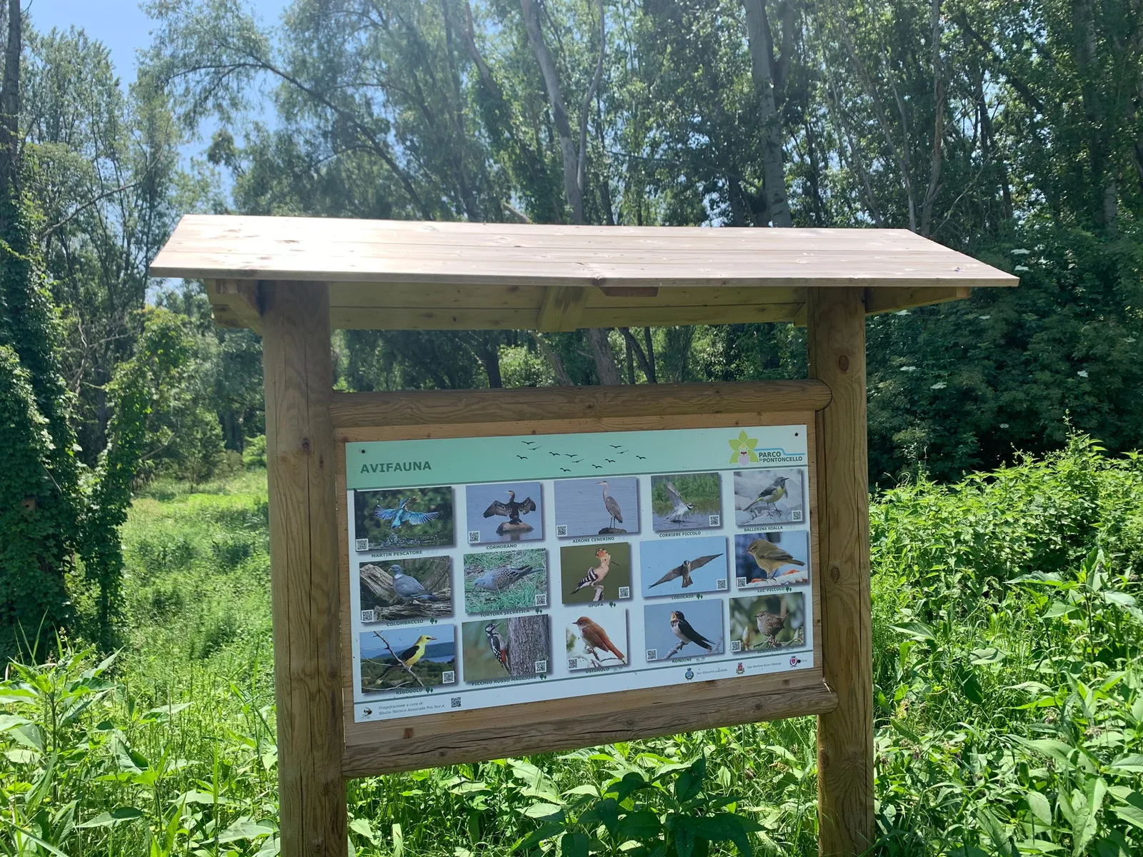 Interior at Parco Pontoncello Verona — travel photo