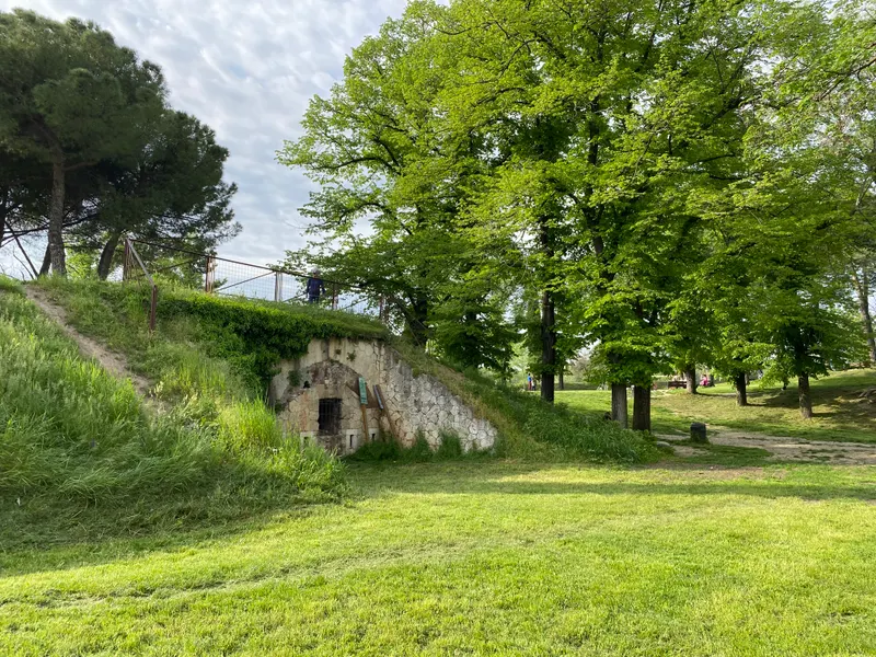 Percorso della Salute