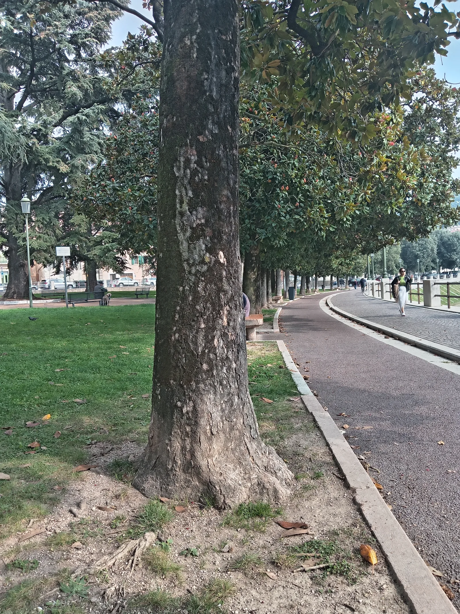 Details at Plinio Codognato Public Garden Verona — travel photo