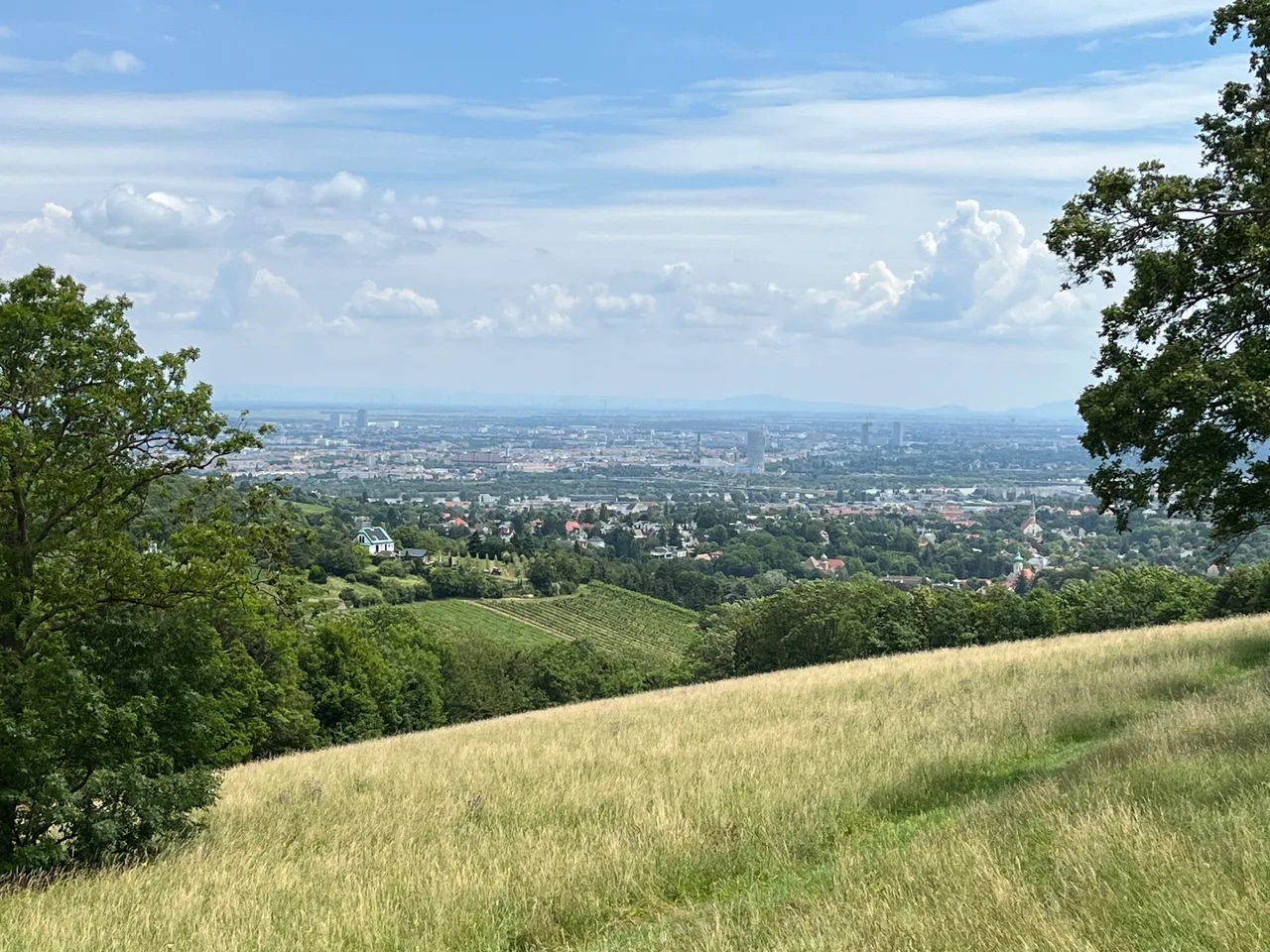 Bellevuewiese β romantic guide Vienna