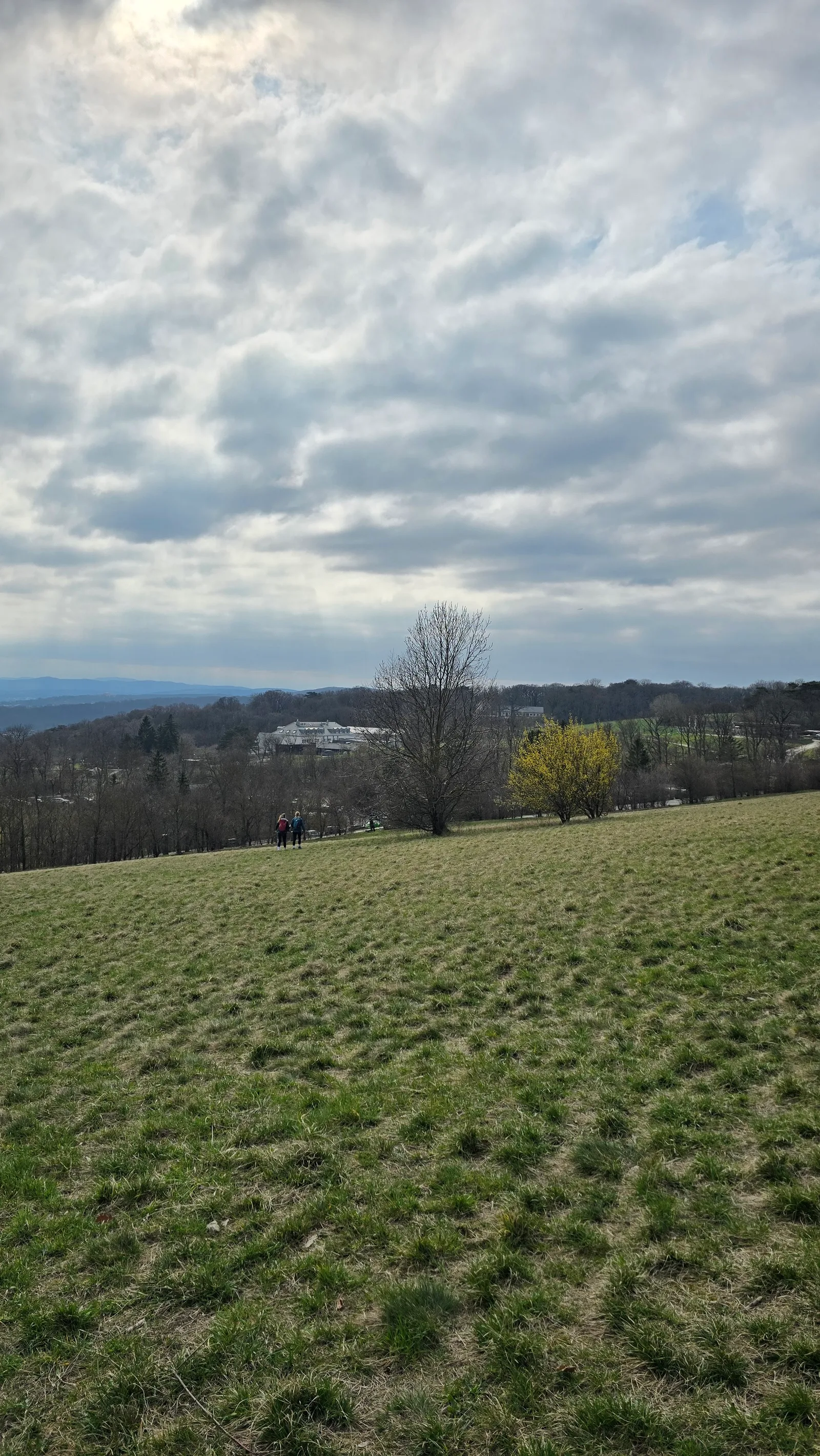 Atmosphere at Cobenzl Aussicht Vienna — travel photo