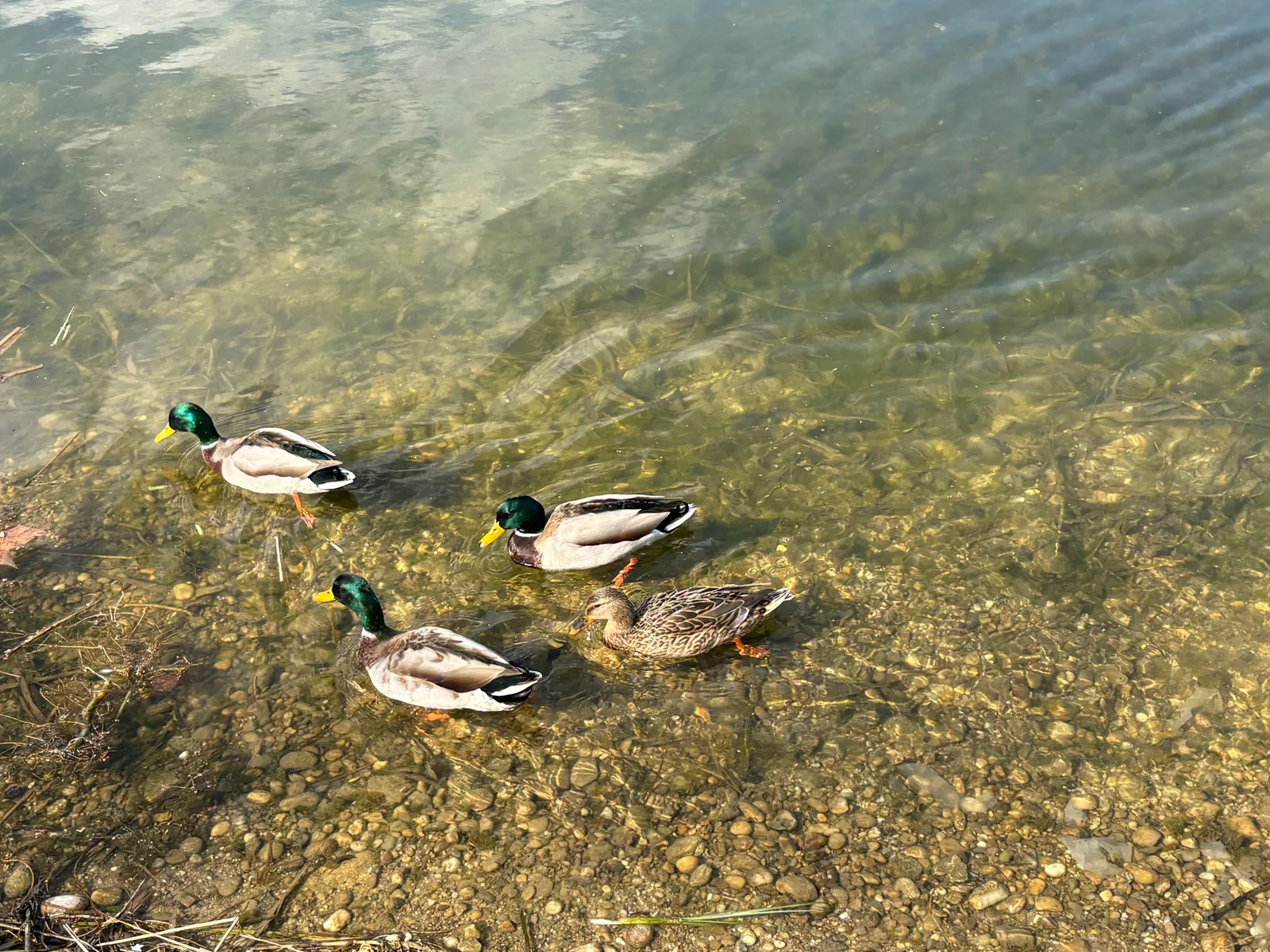 Interior at Floridsdorfer Wasserpark Vienna — travel photo