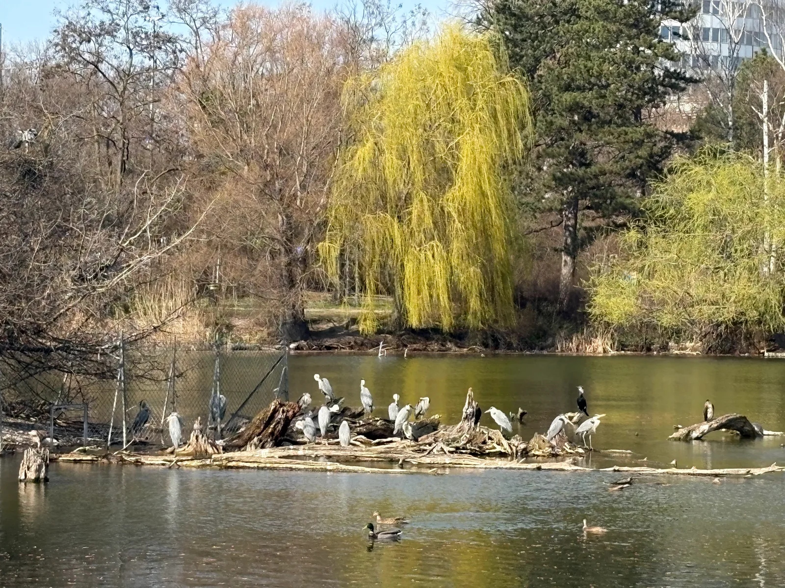 Details at Floridsdorfer Wasserpark Vienna — travel photo
