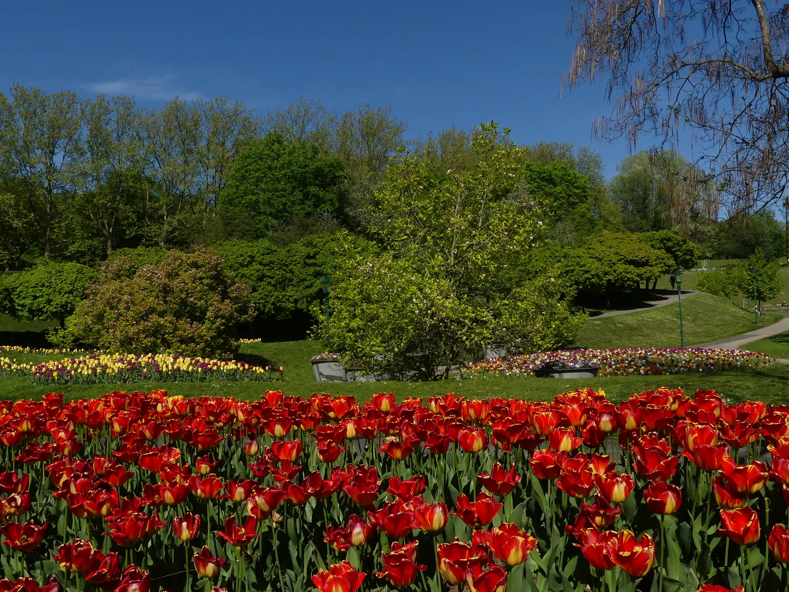 Details at Kurpark Oberlaa Vienna — travel photo