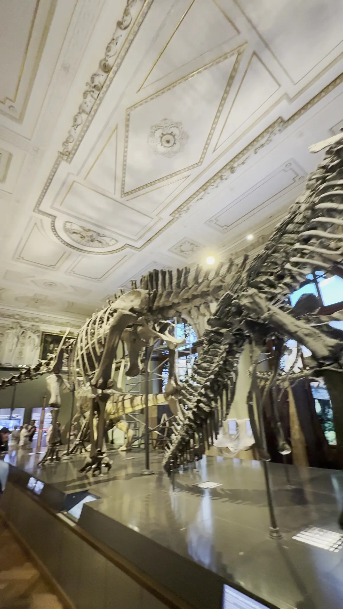 Main view at Museum of Natural History Vienna Vienna — travel photo