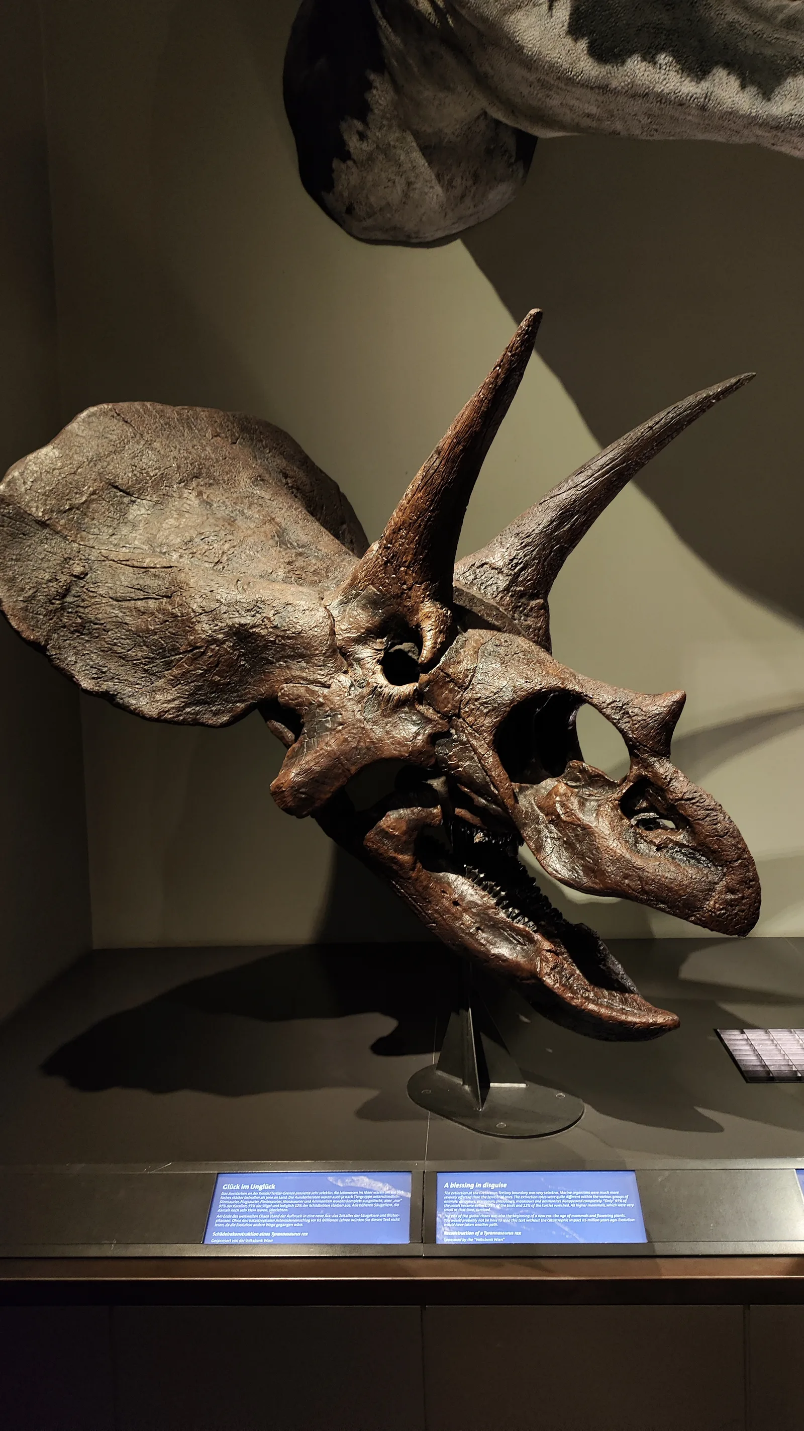 Atmosphere at Museum of Natural History Vienna Vienna — travel photo
