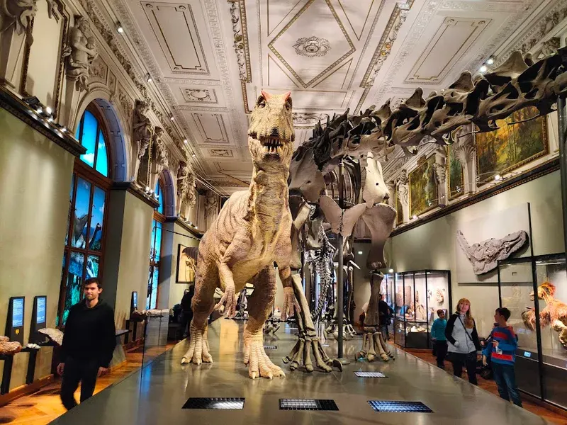 Museum of Natural History Vienna — history museum in Vienna