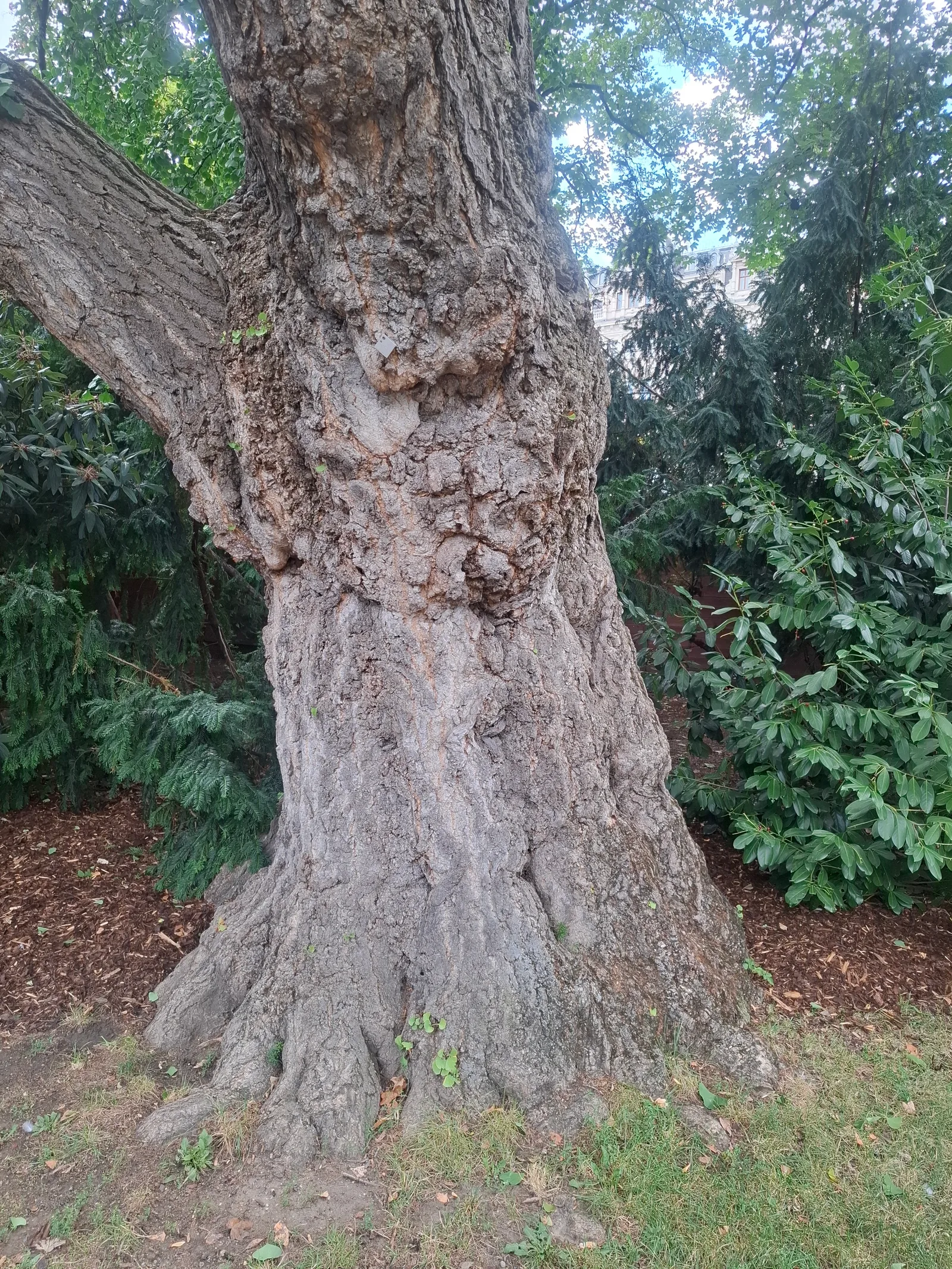 Main view at Rathauspark Vienna — travel photo