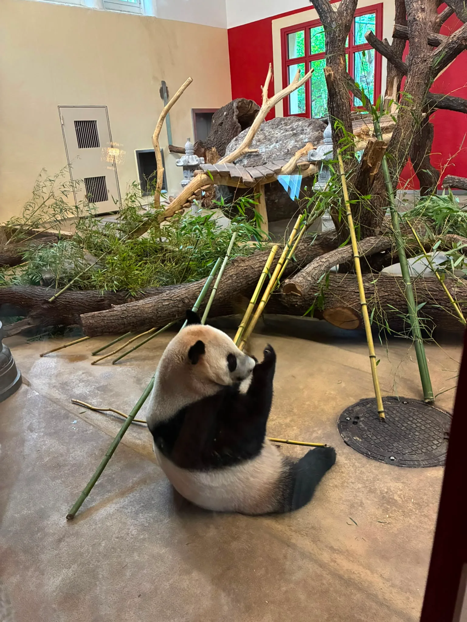 Main view at Schönbrunn Zoo Vienna — travel photo